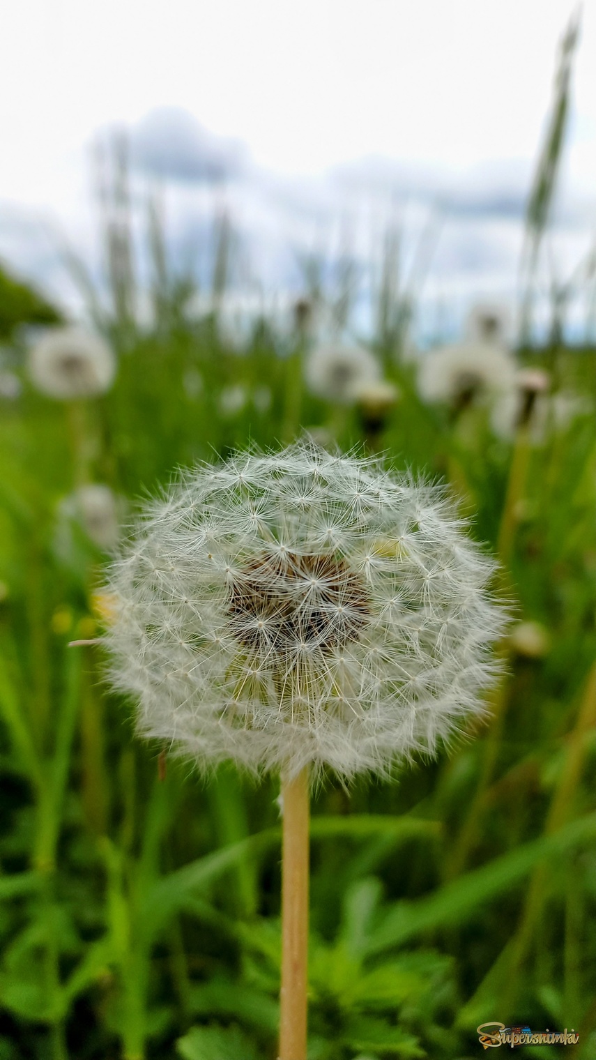 684512f726ac27041a6389b4