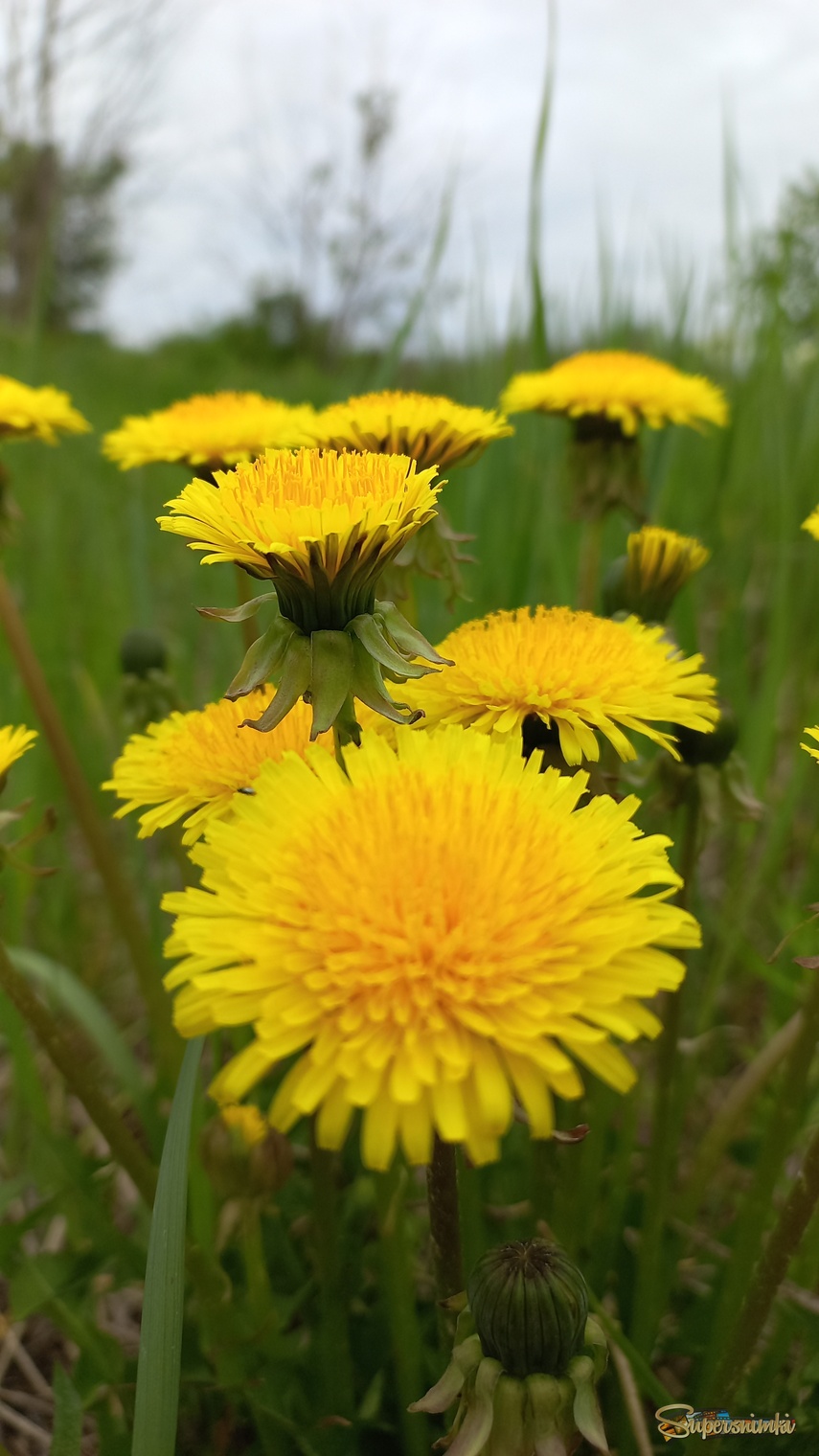 684512fa24243f29596389ae