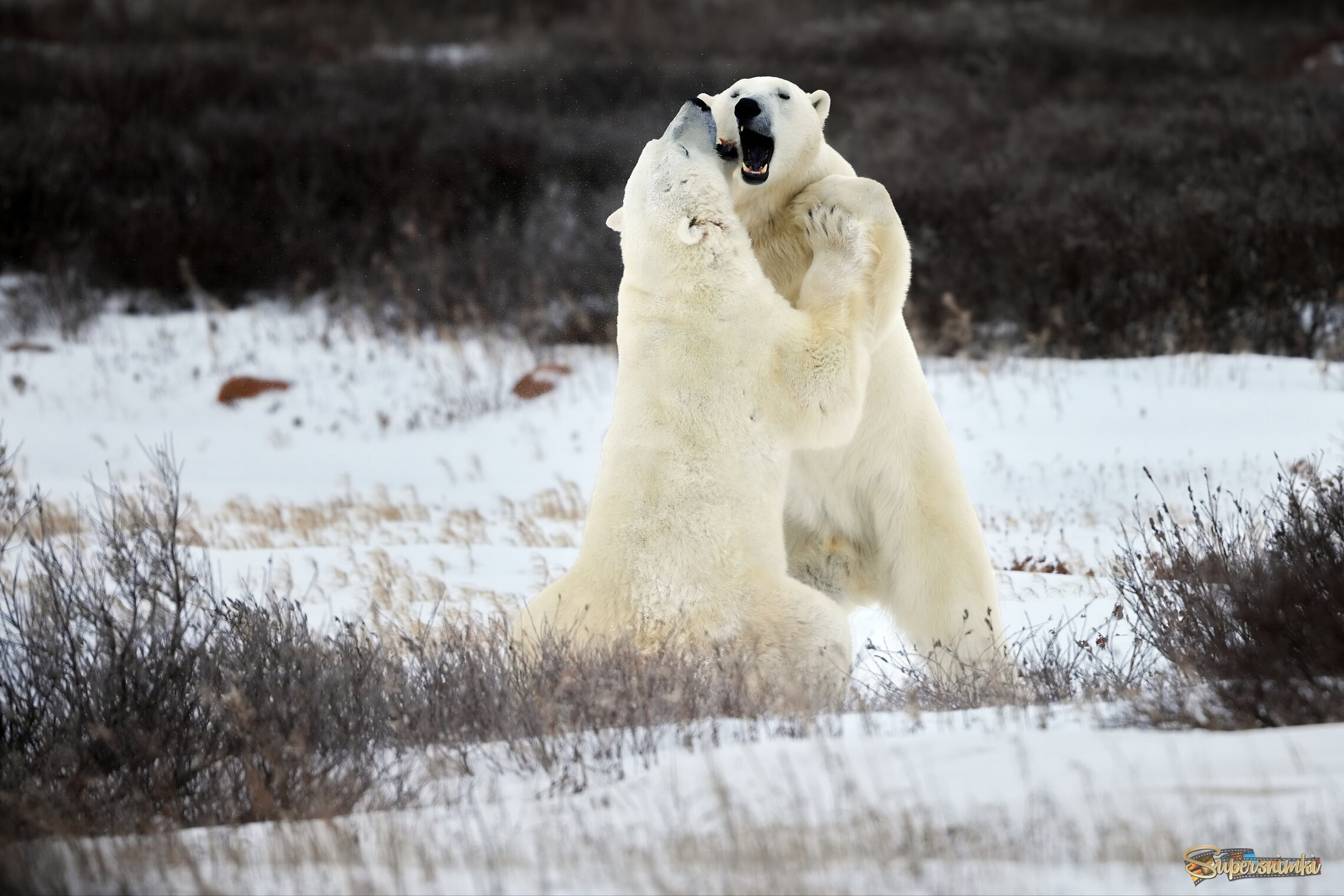 Медленный танец