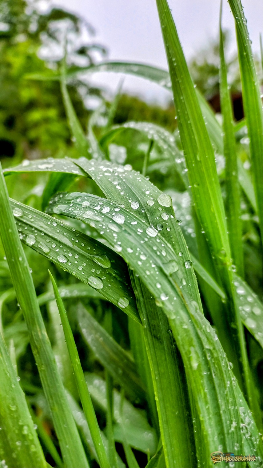 6846bfceaddee45ad16389ae