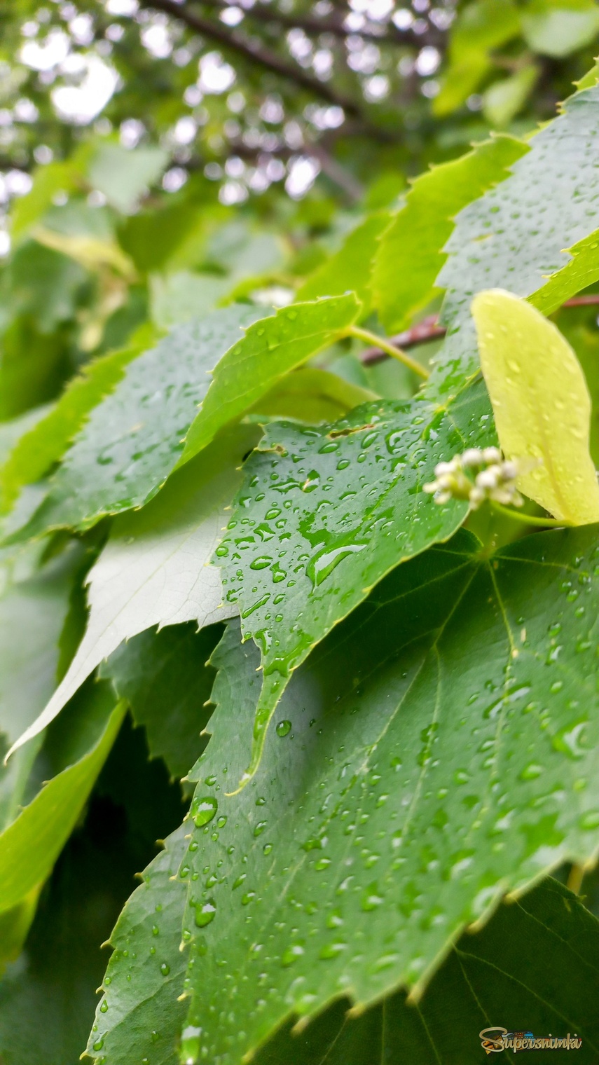 6846bfefbeba6073296389ae