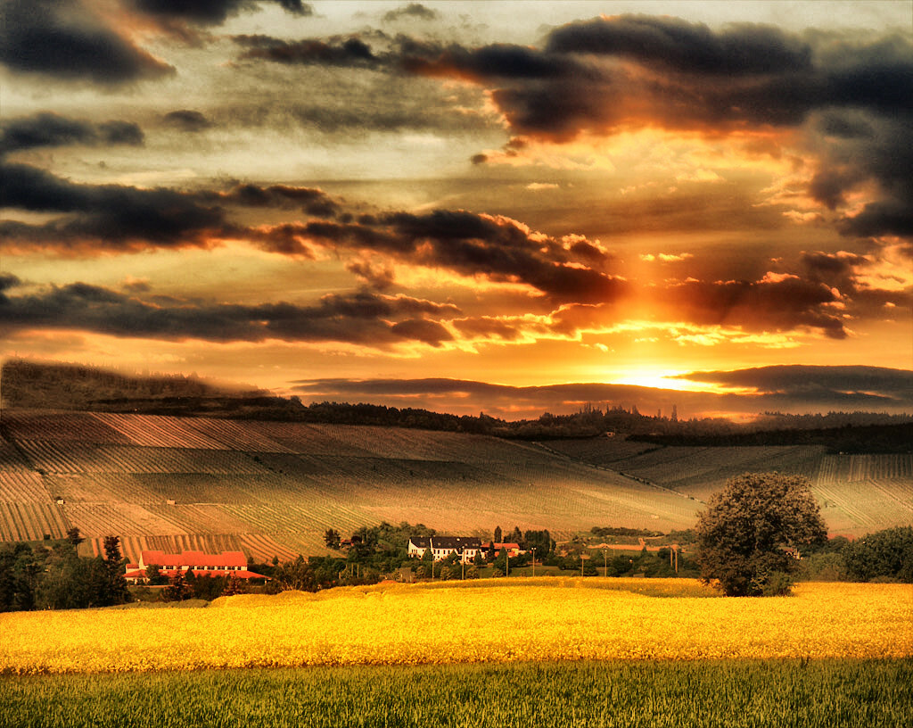 Вечерние поля.