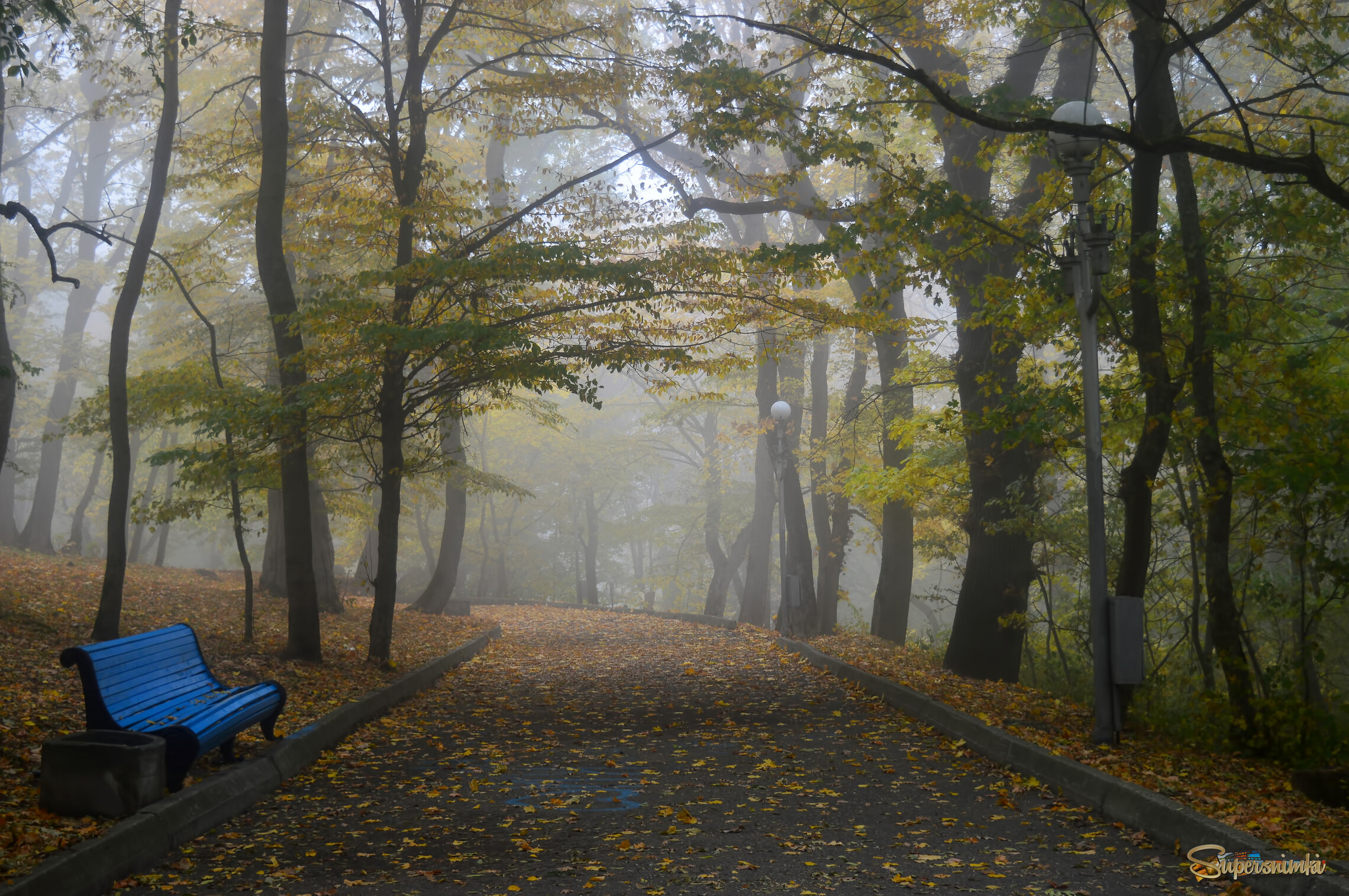 В утреннем парке......