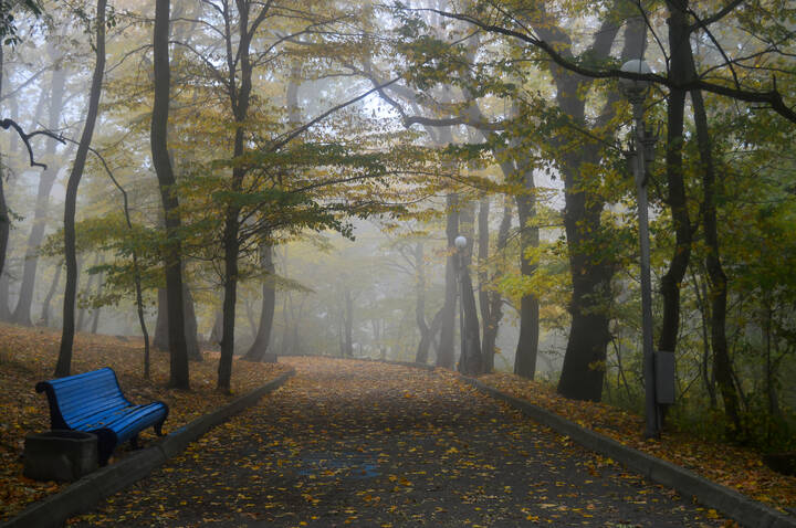 В утреннем парке......