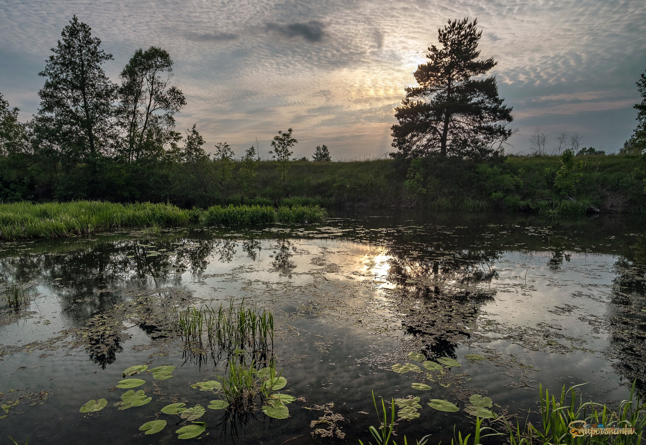 Вечерний этюд у реки
