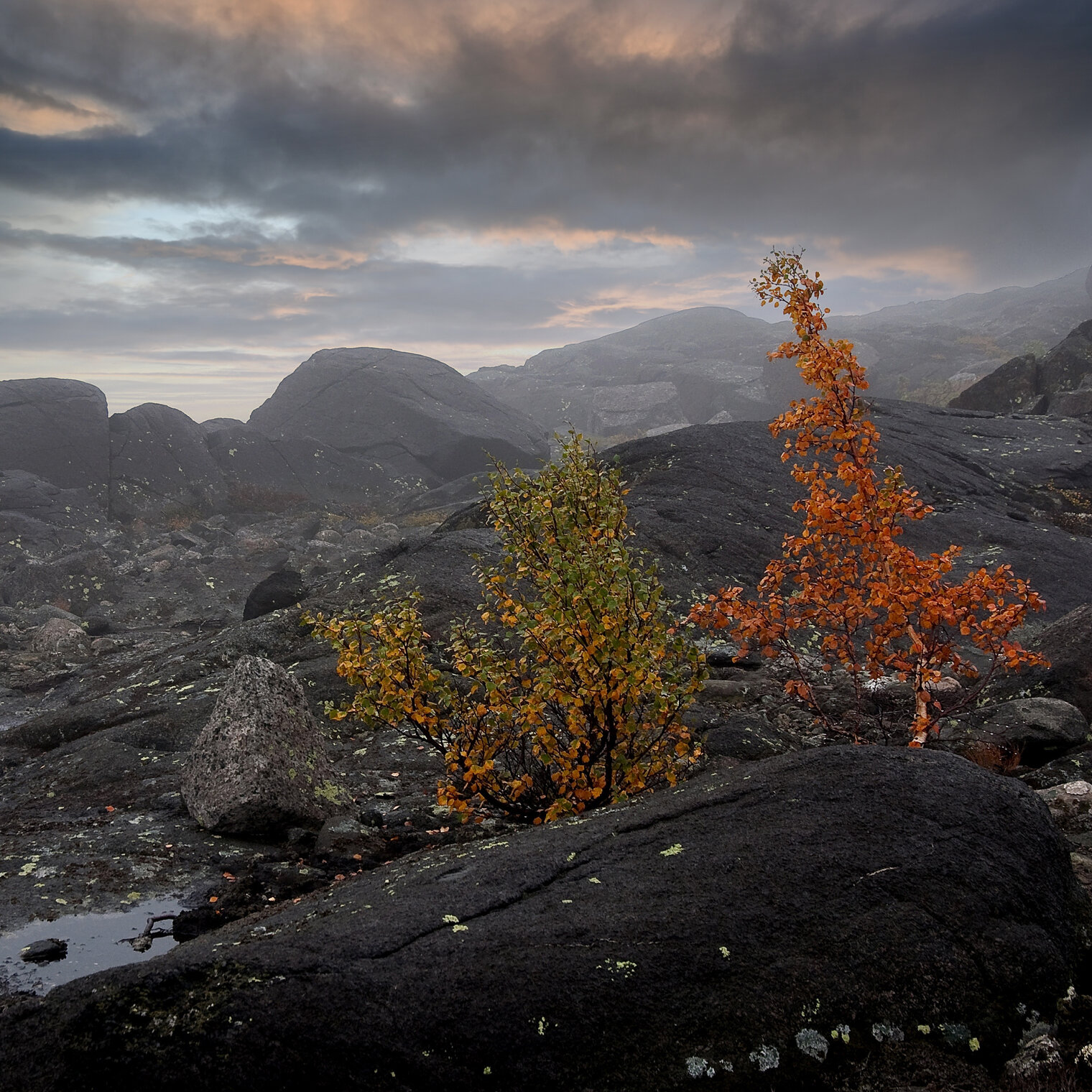 Мончетундра (подножие, предгорье)