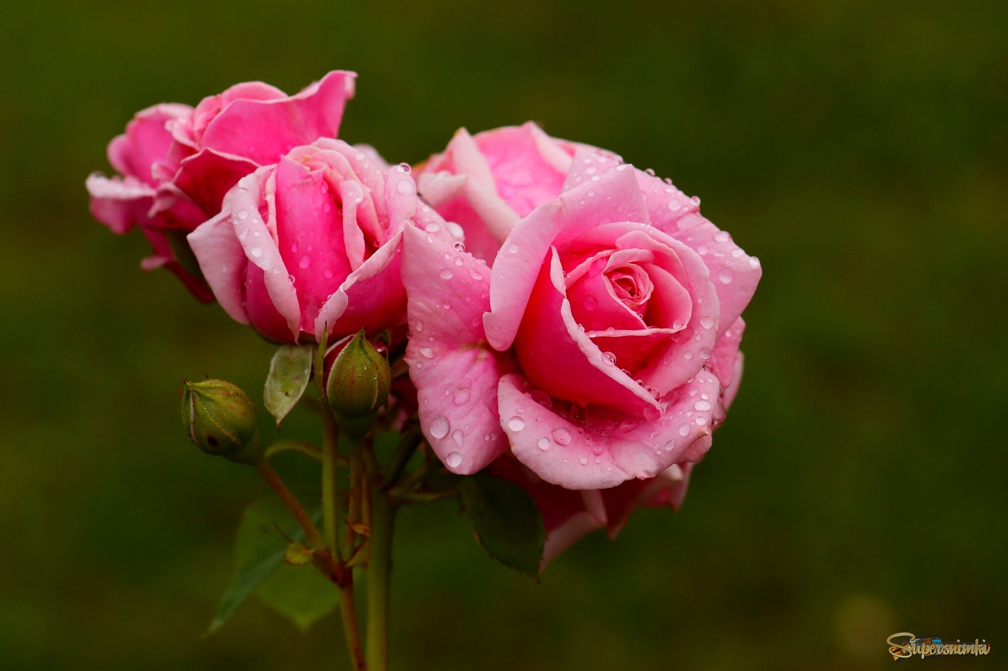 И было утро