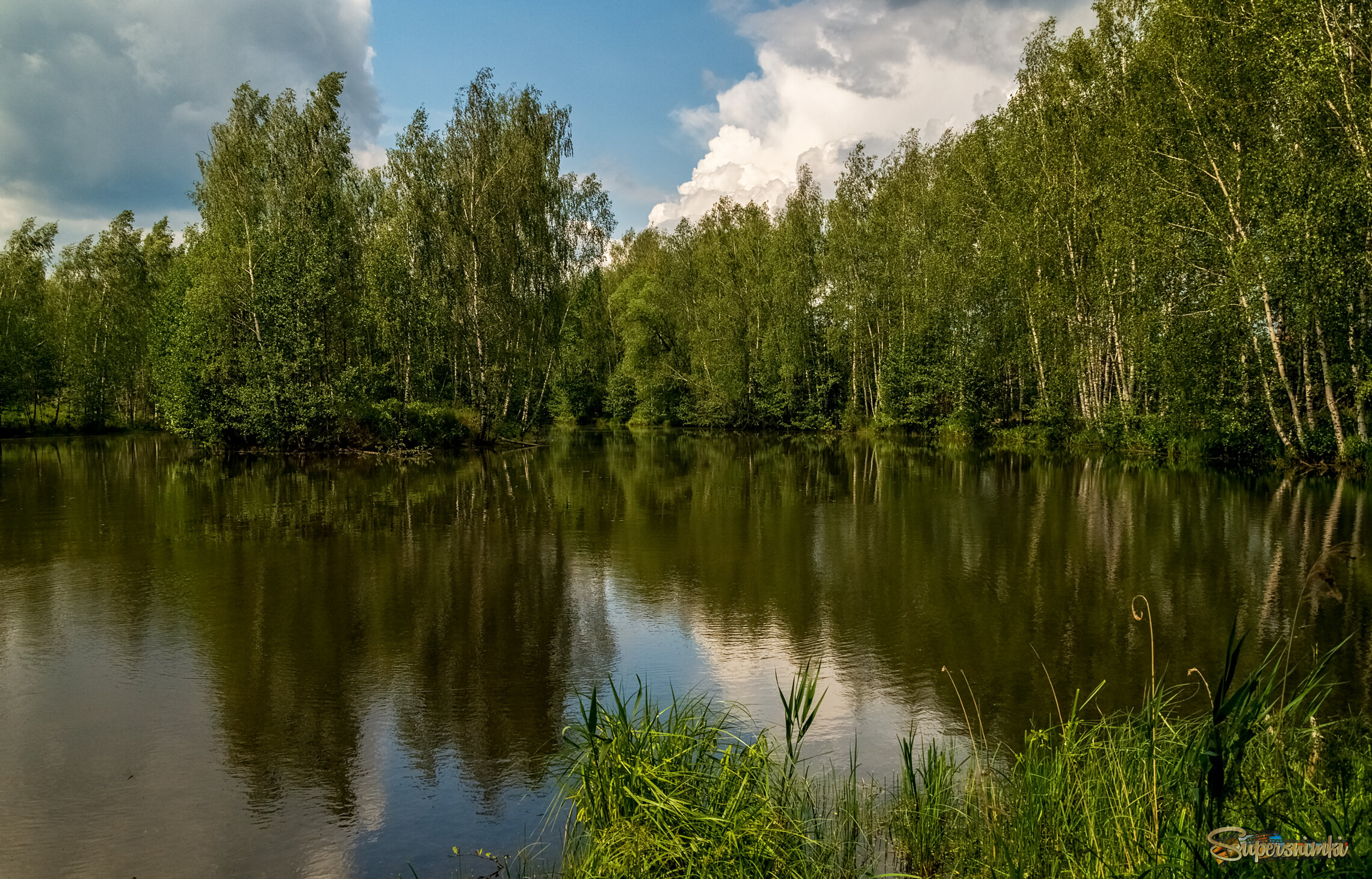 Июньское утро 5 