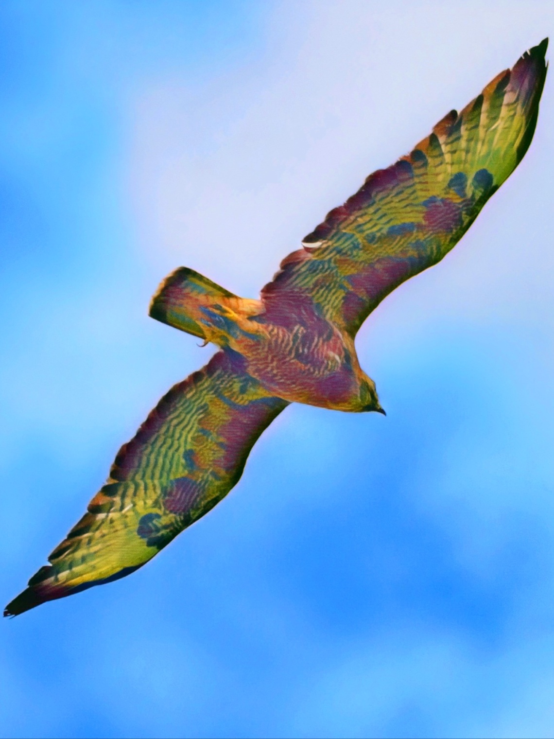 Канюк из тату салона 😲