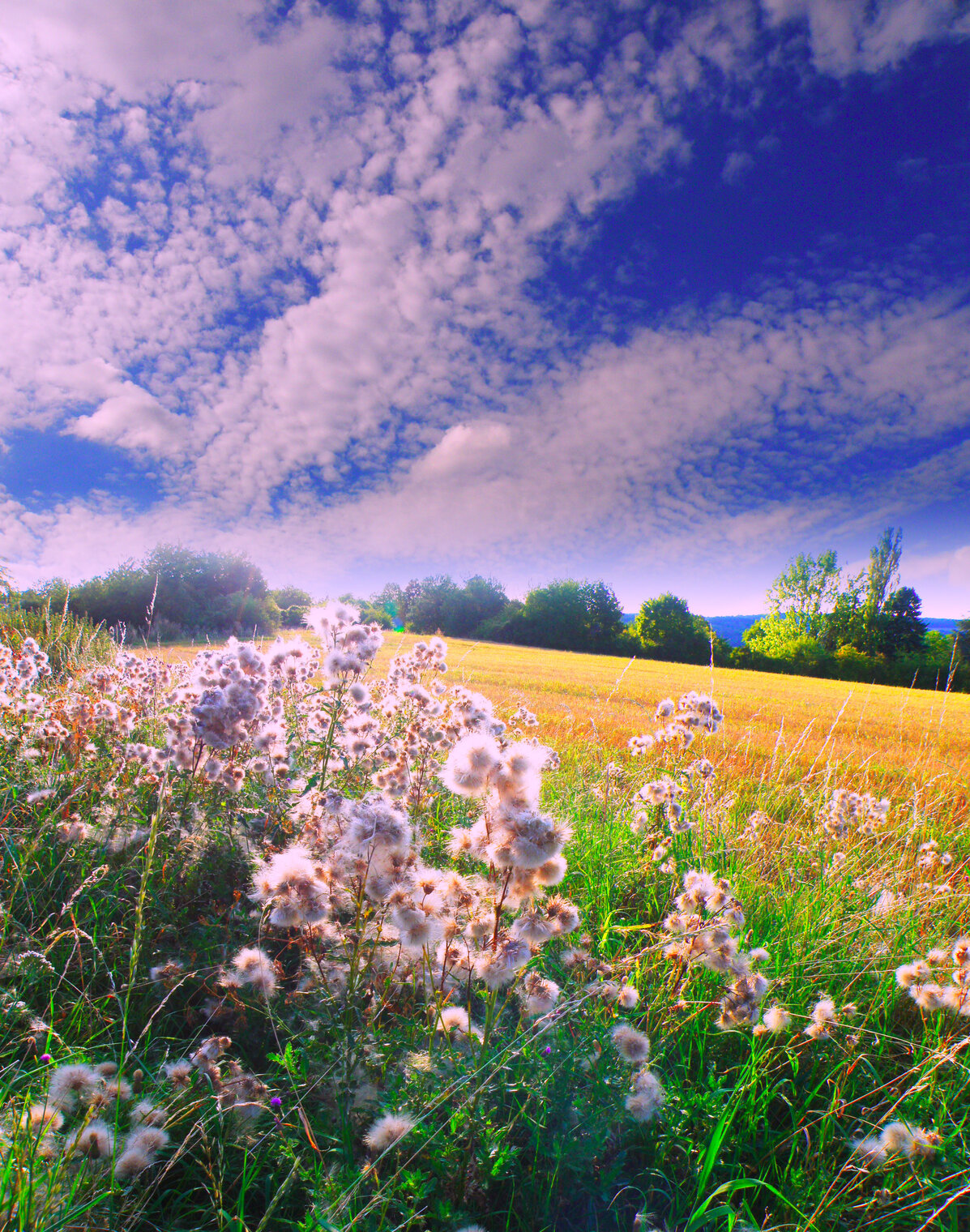 684982ea097800006a6389b0