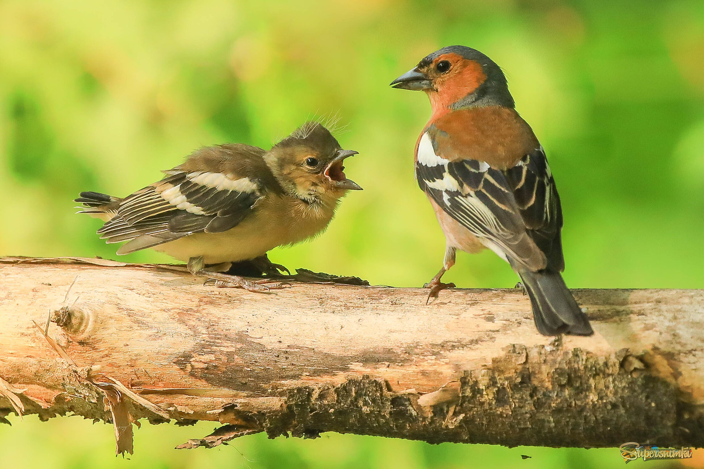 Есть хочууууу!!!