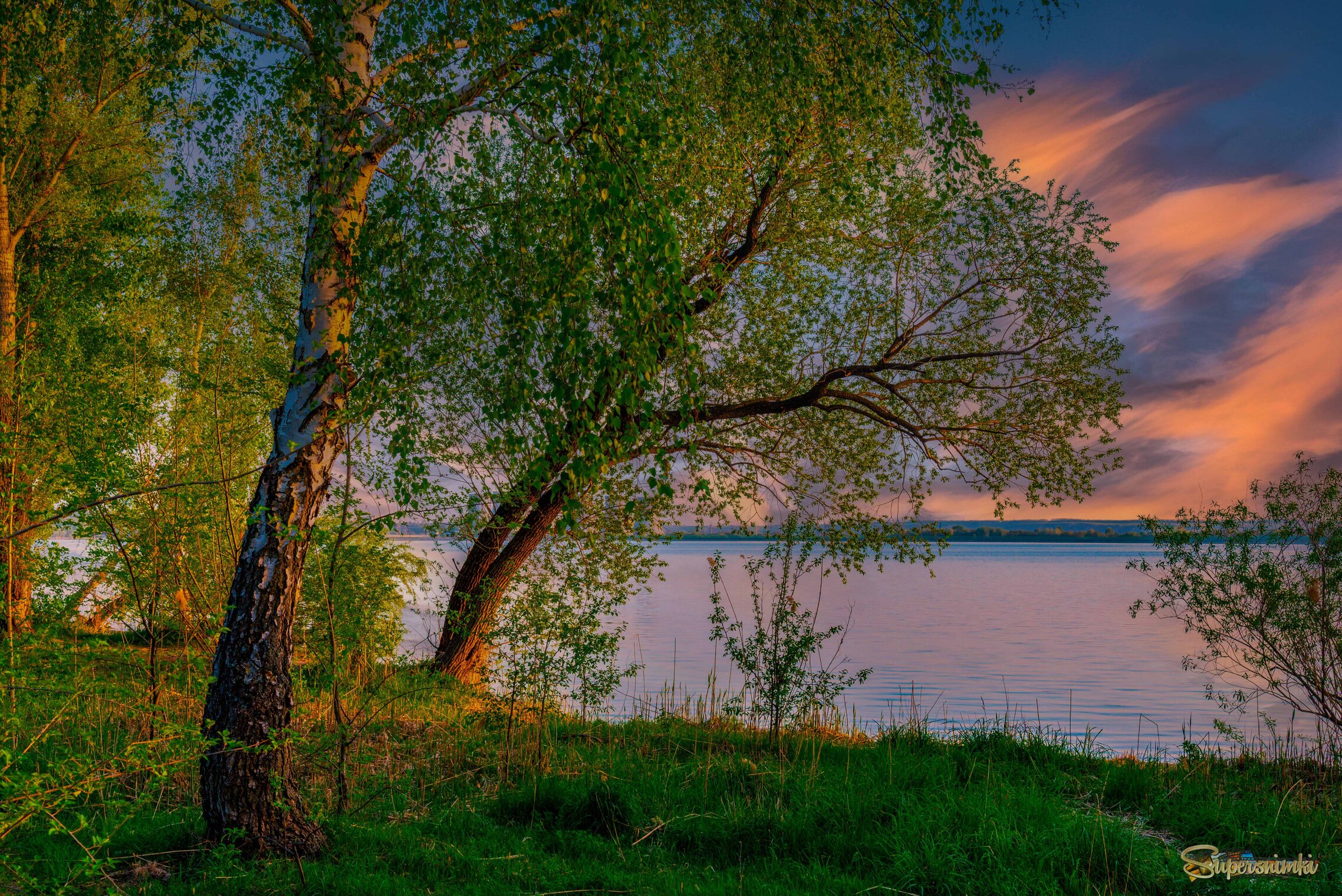 Берёзонька провожает день.