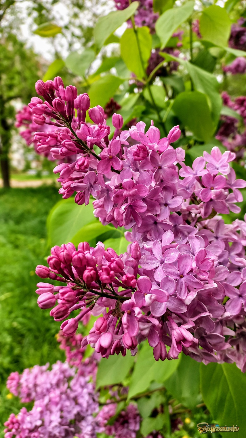 68496f39b8158897e76389af