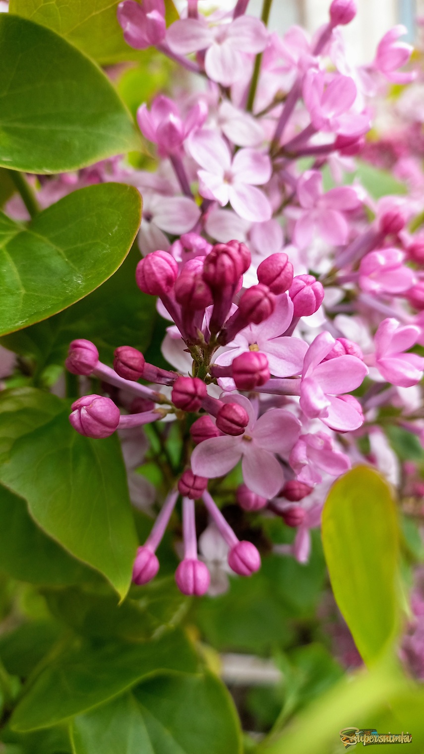 68496f6590efde656f6389ae