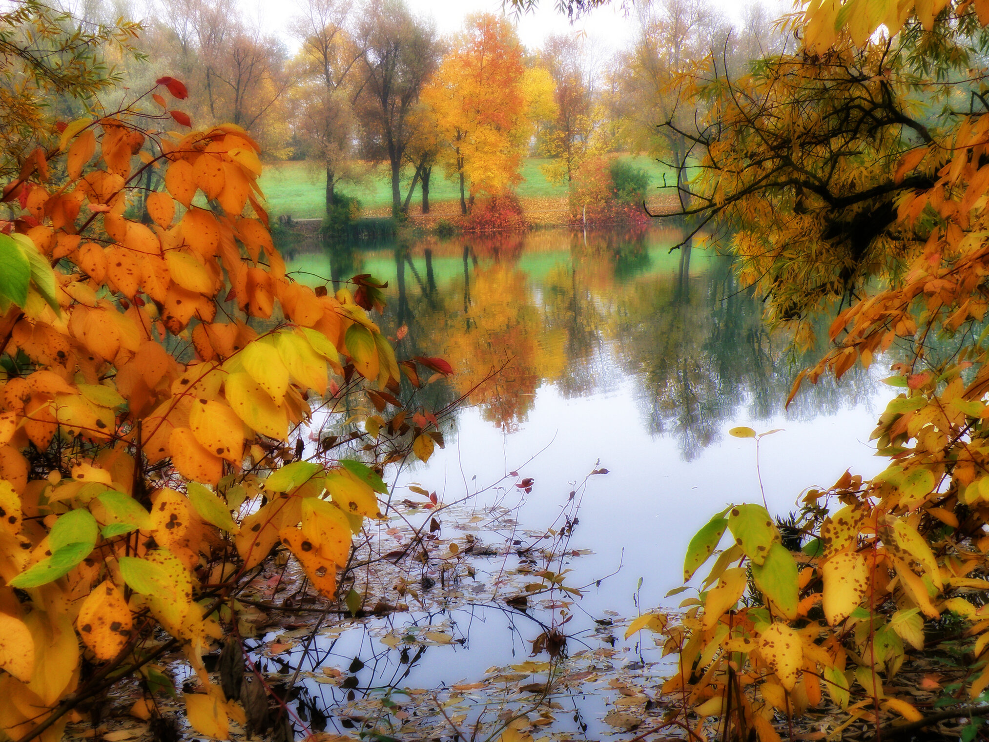 и листья как цветы.
