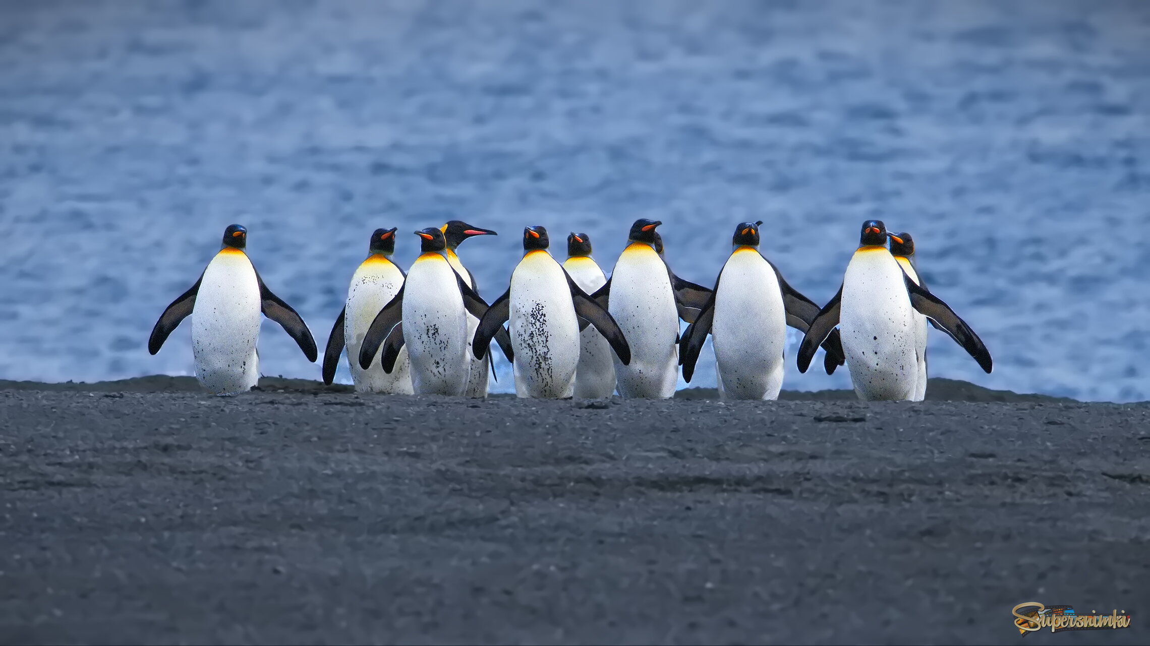 Отряд подводников
