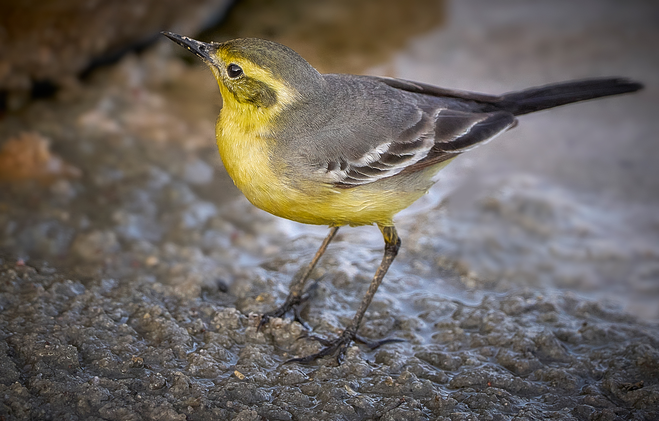 68494ed4e14c48d5866389ae