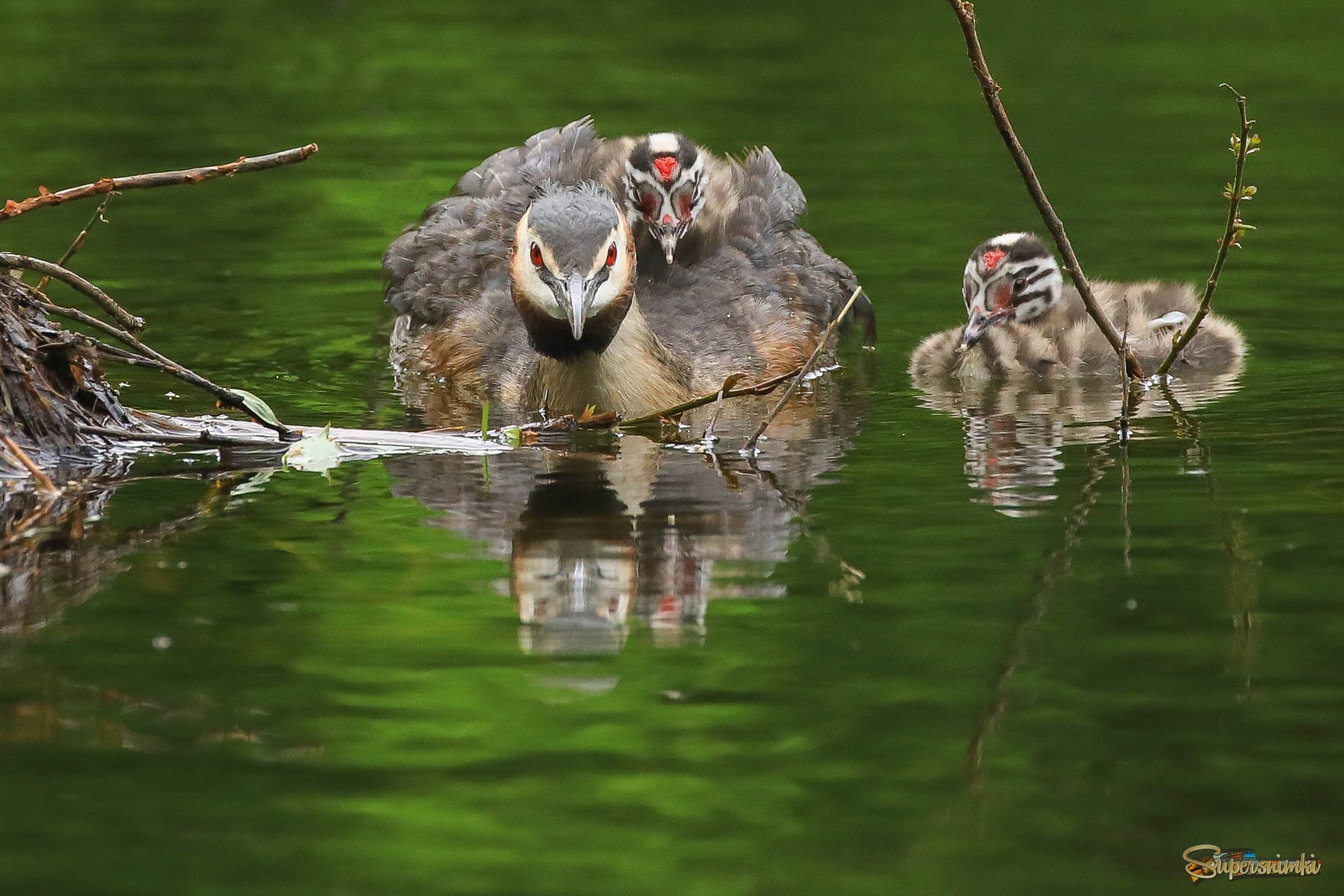 Бесстрашные
