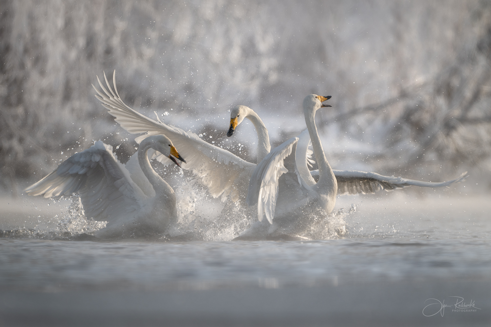 Время весны