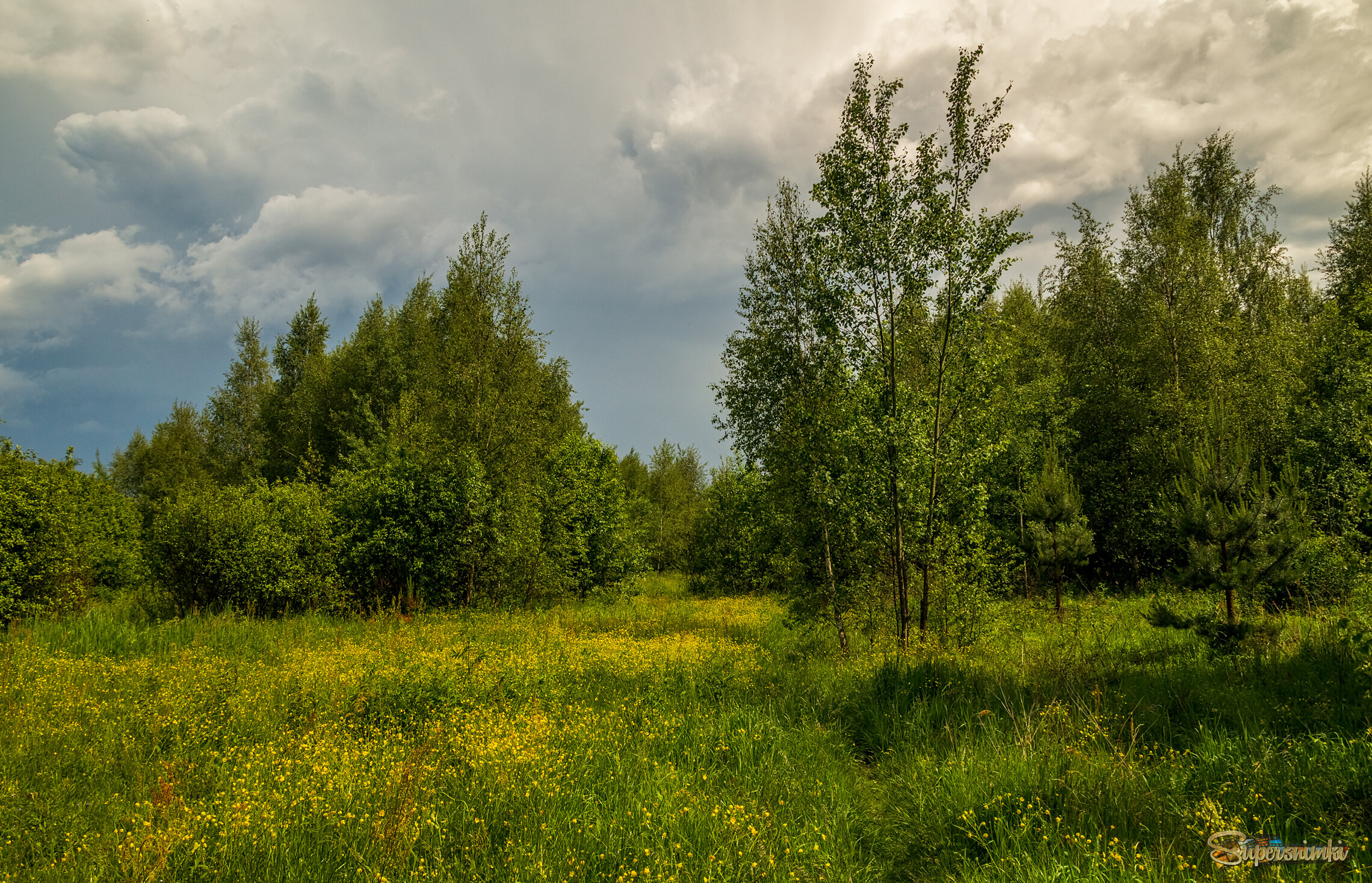 После дождя 
