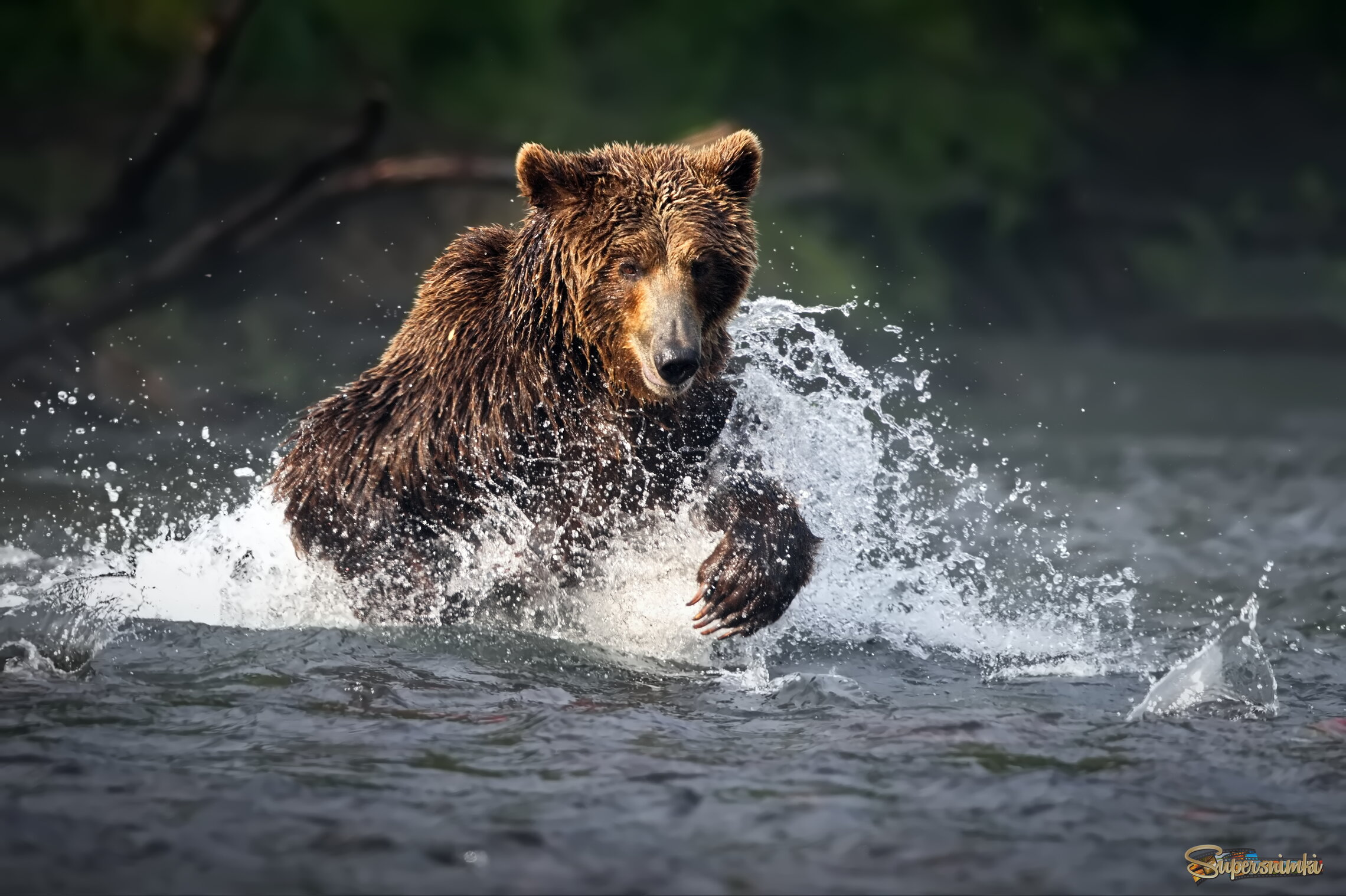 Водная беготня