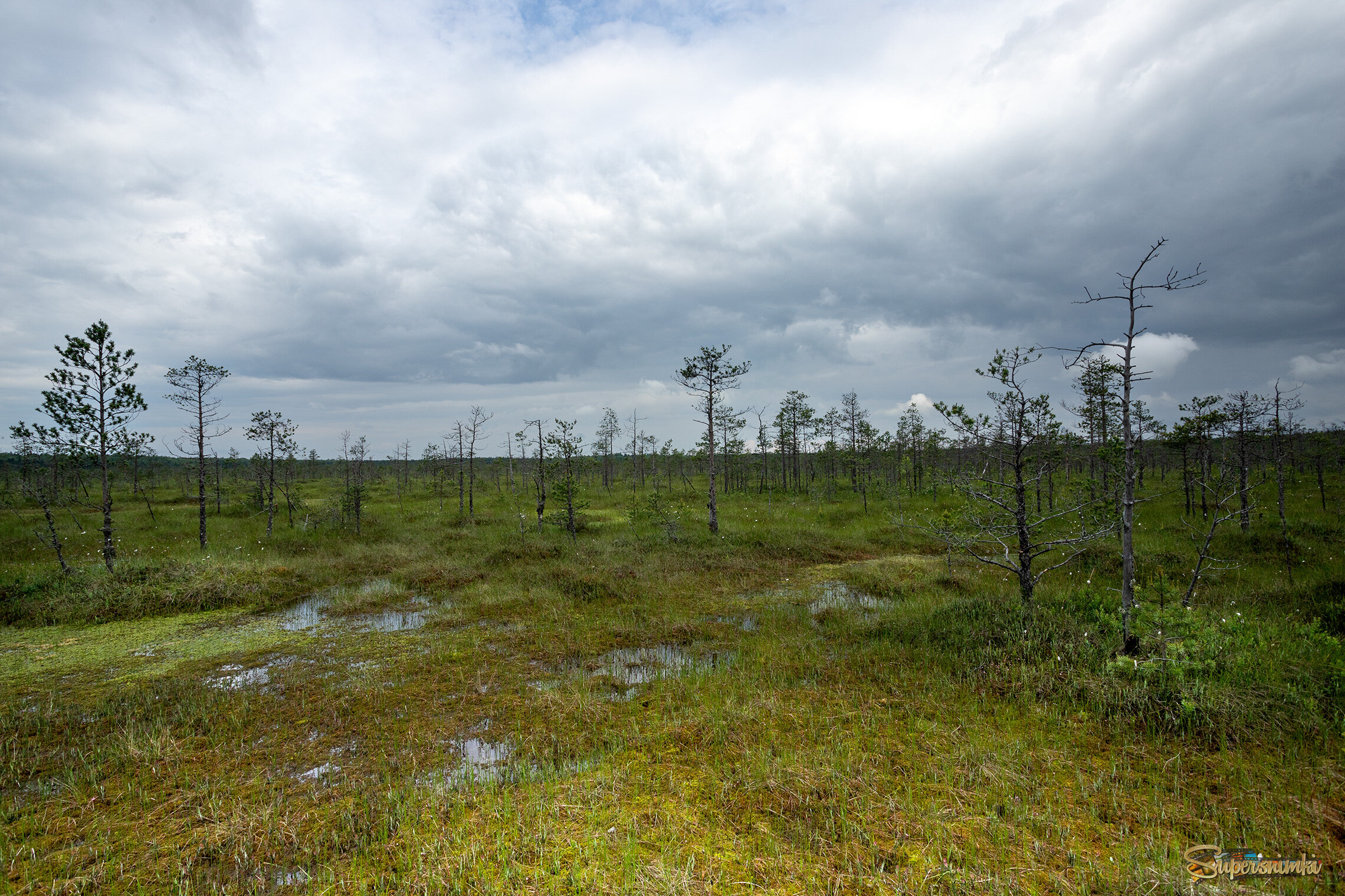 После дождя