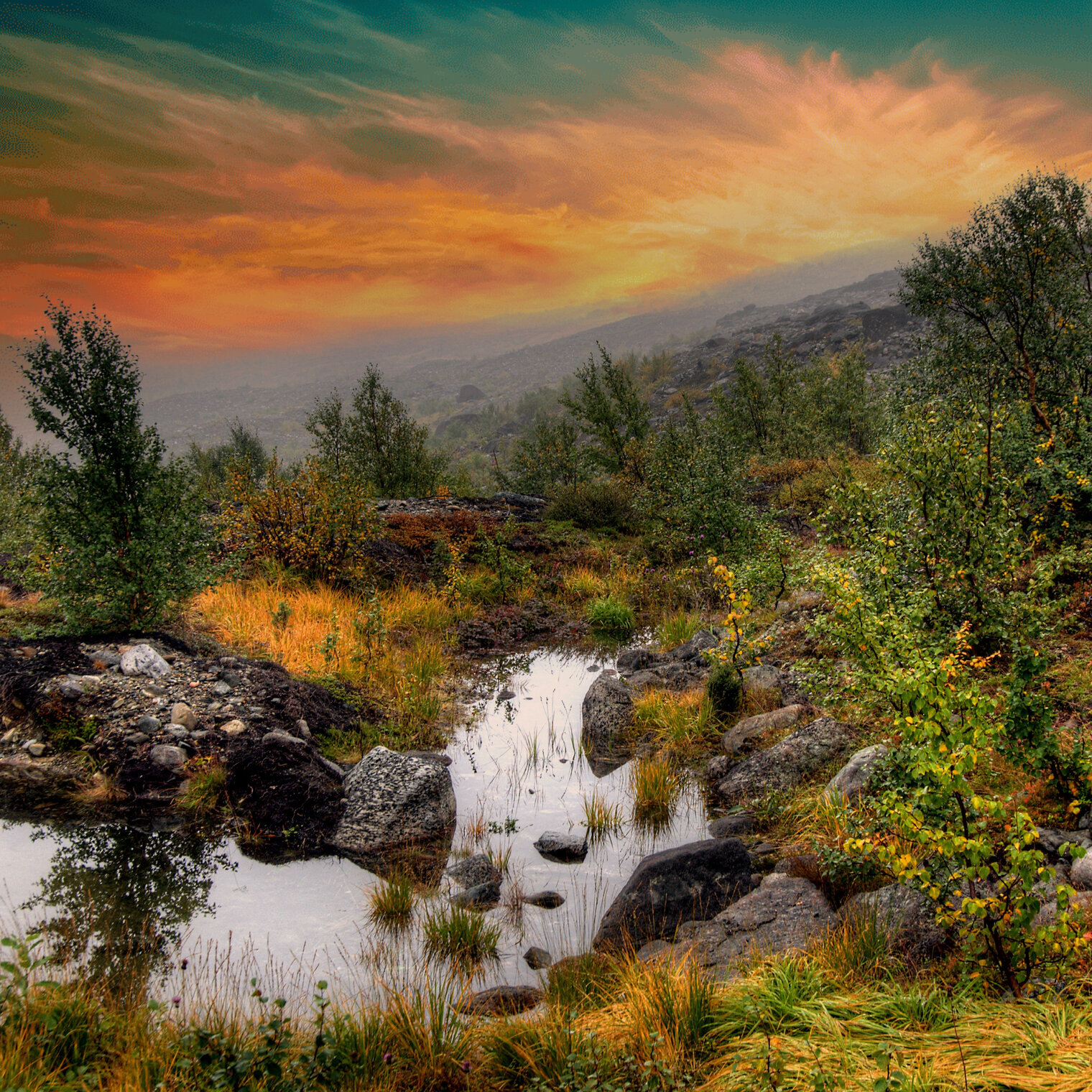 Мончетундра