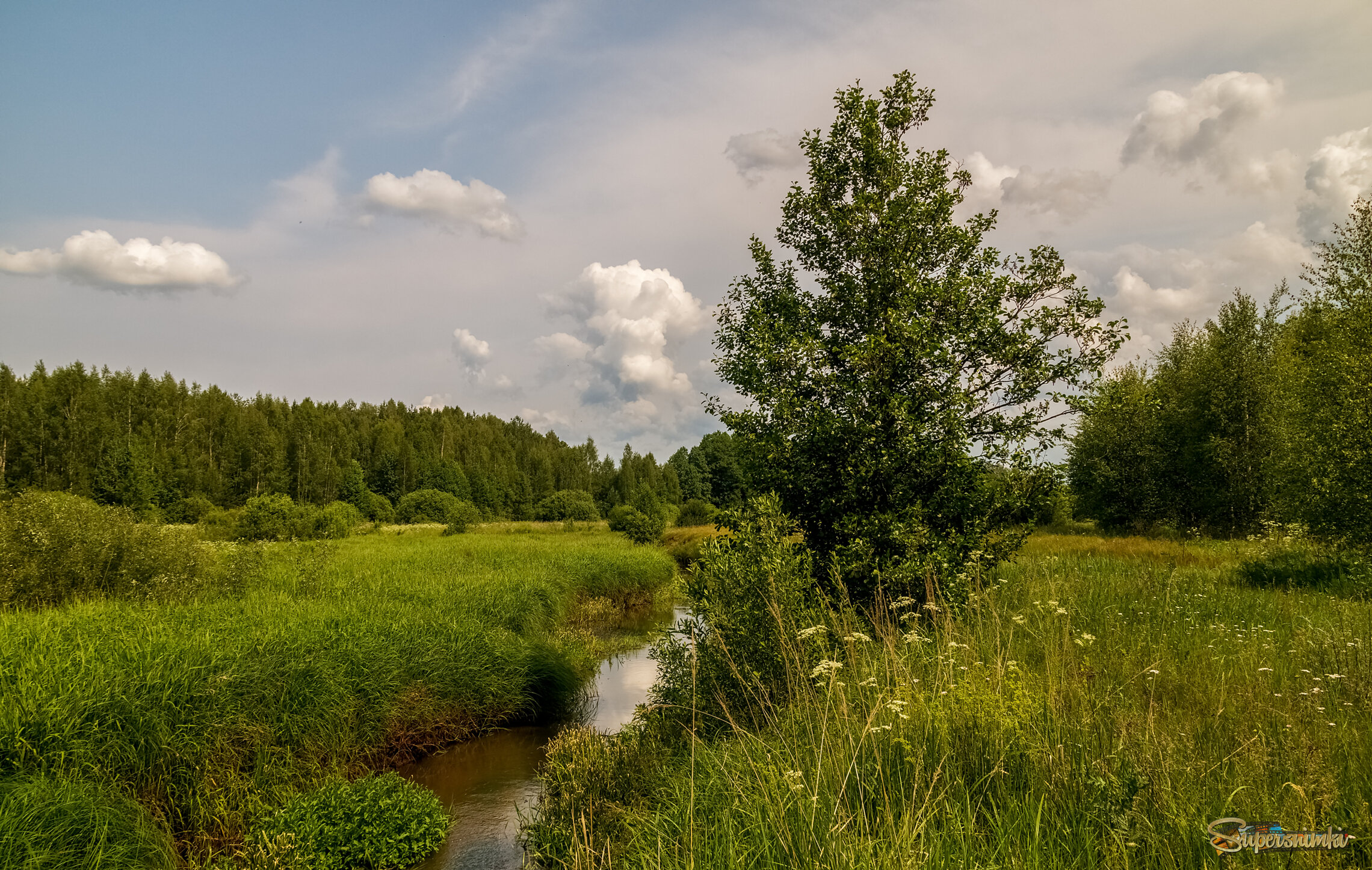 Родные берега 5 