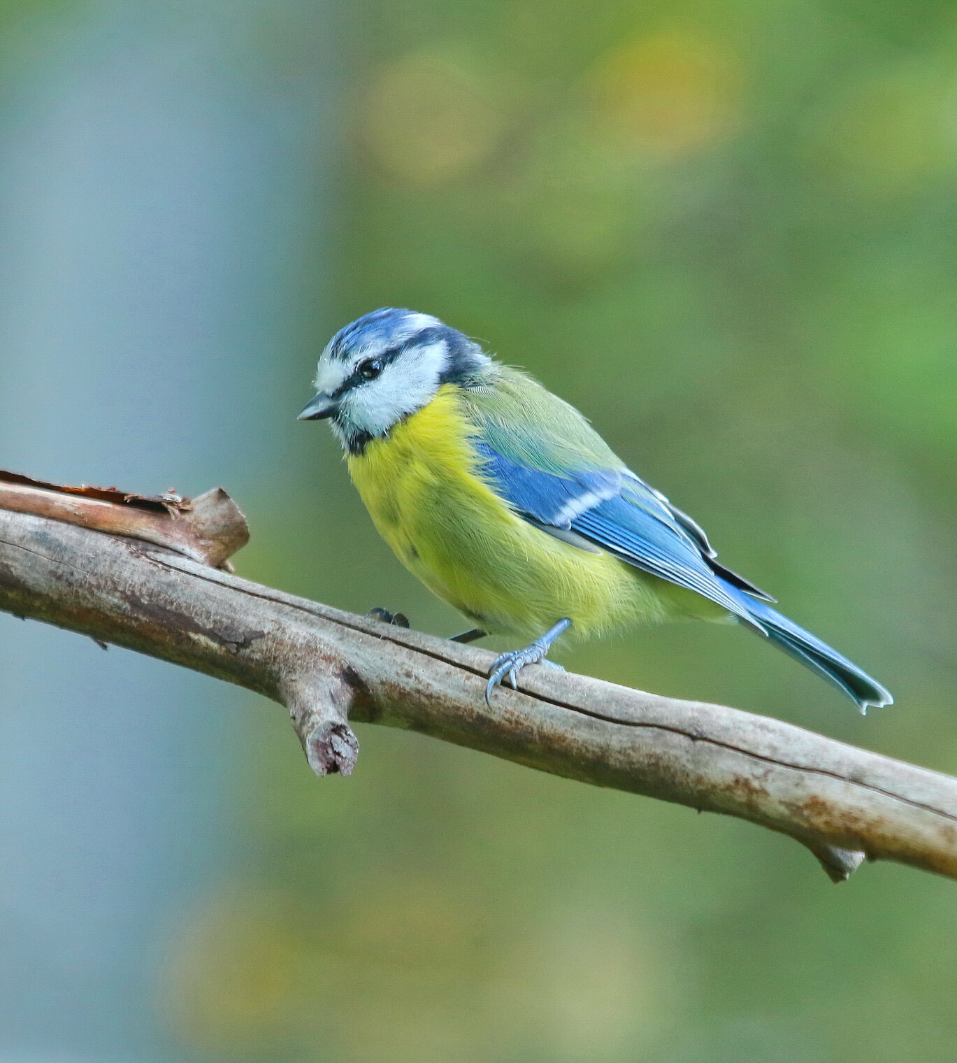 подросток ...