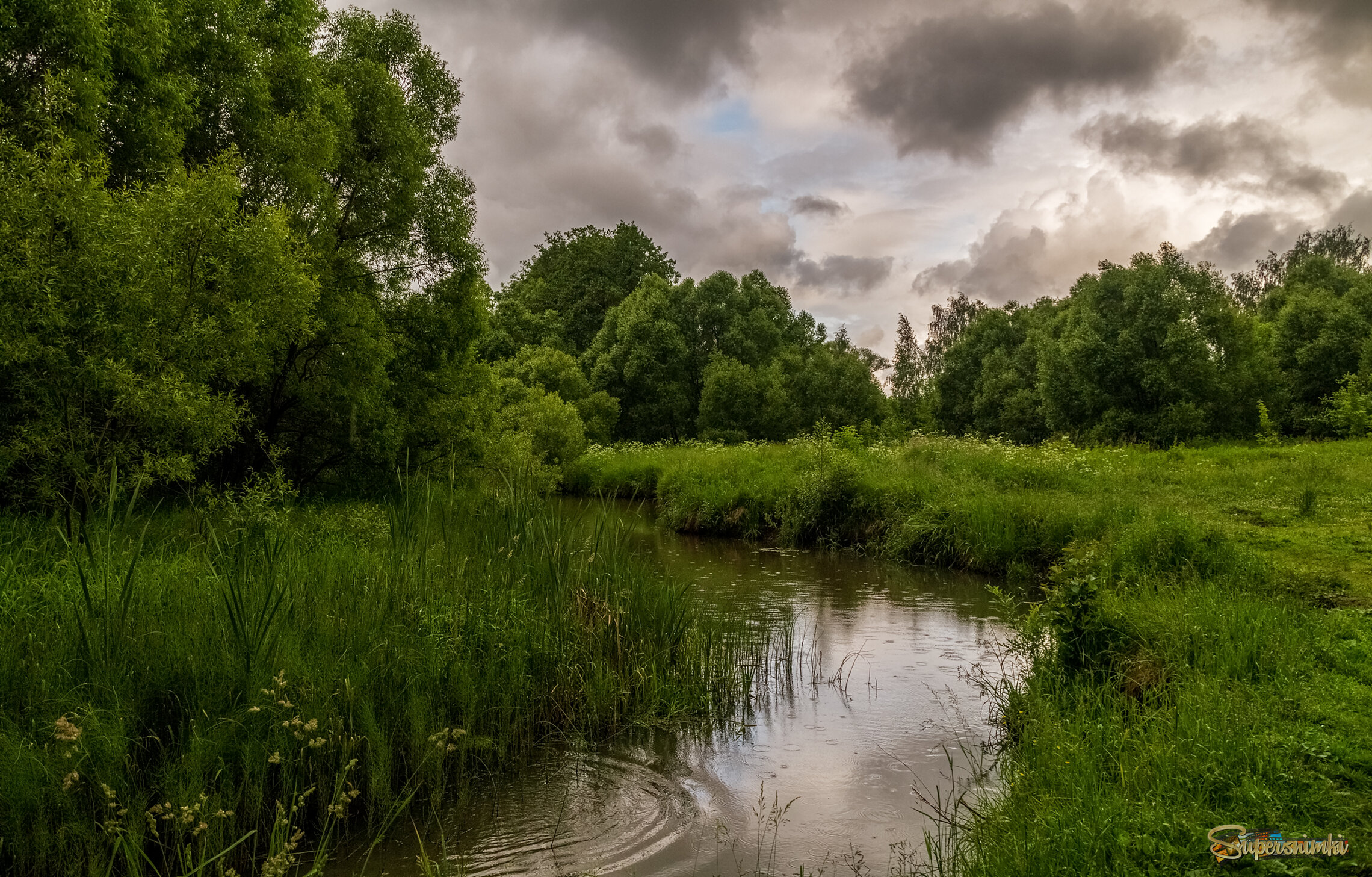 Летний дождь 