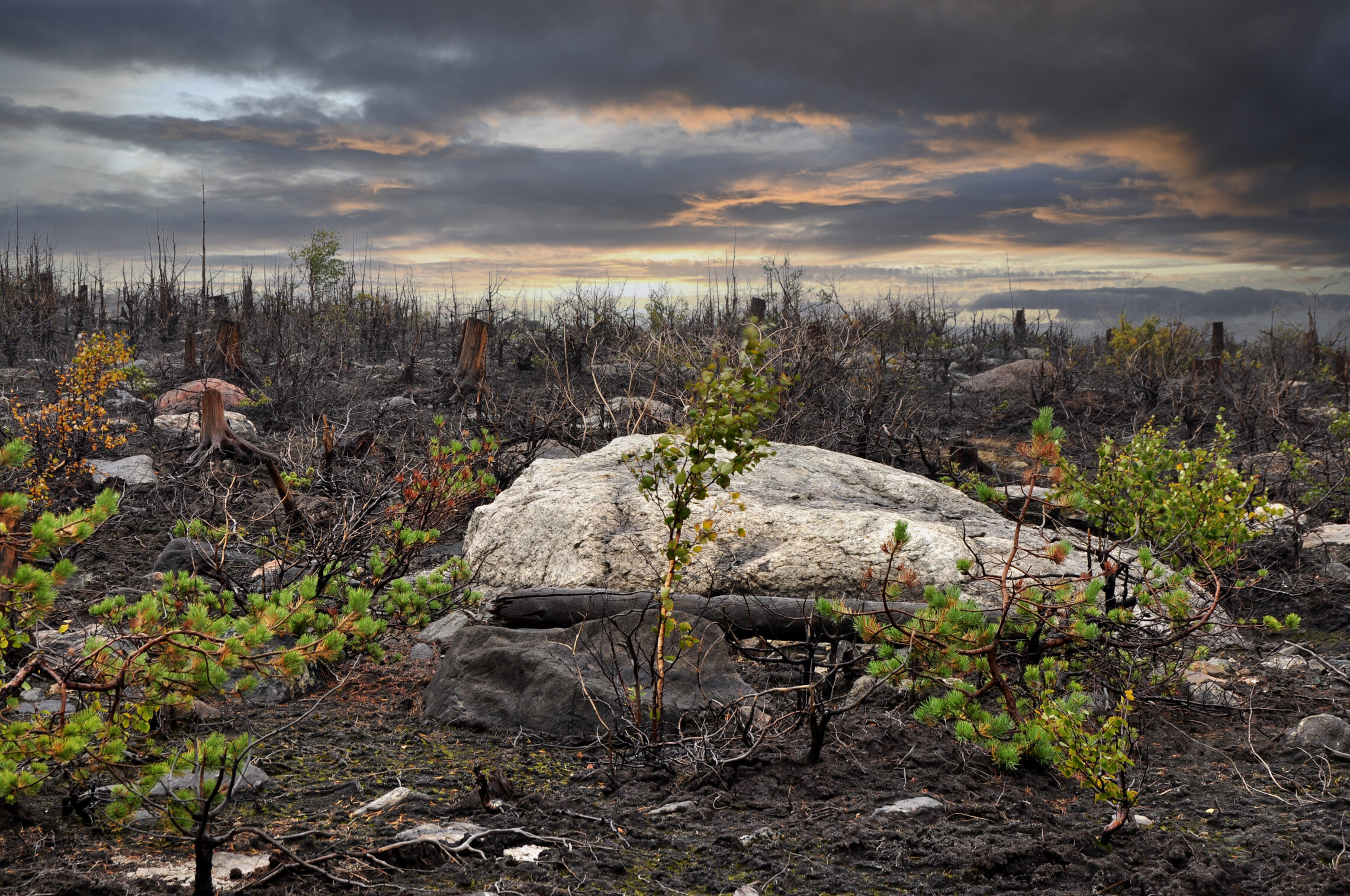 Тундра. Окрестности Монче-озера