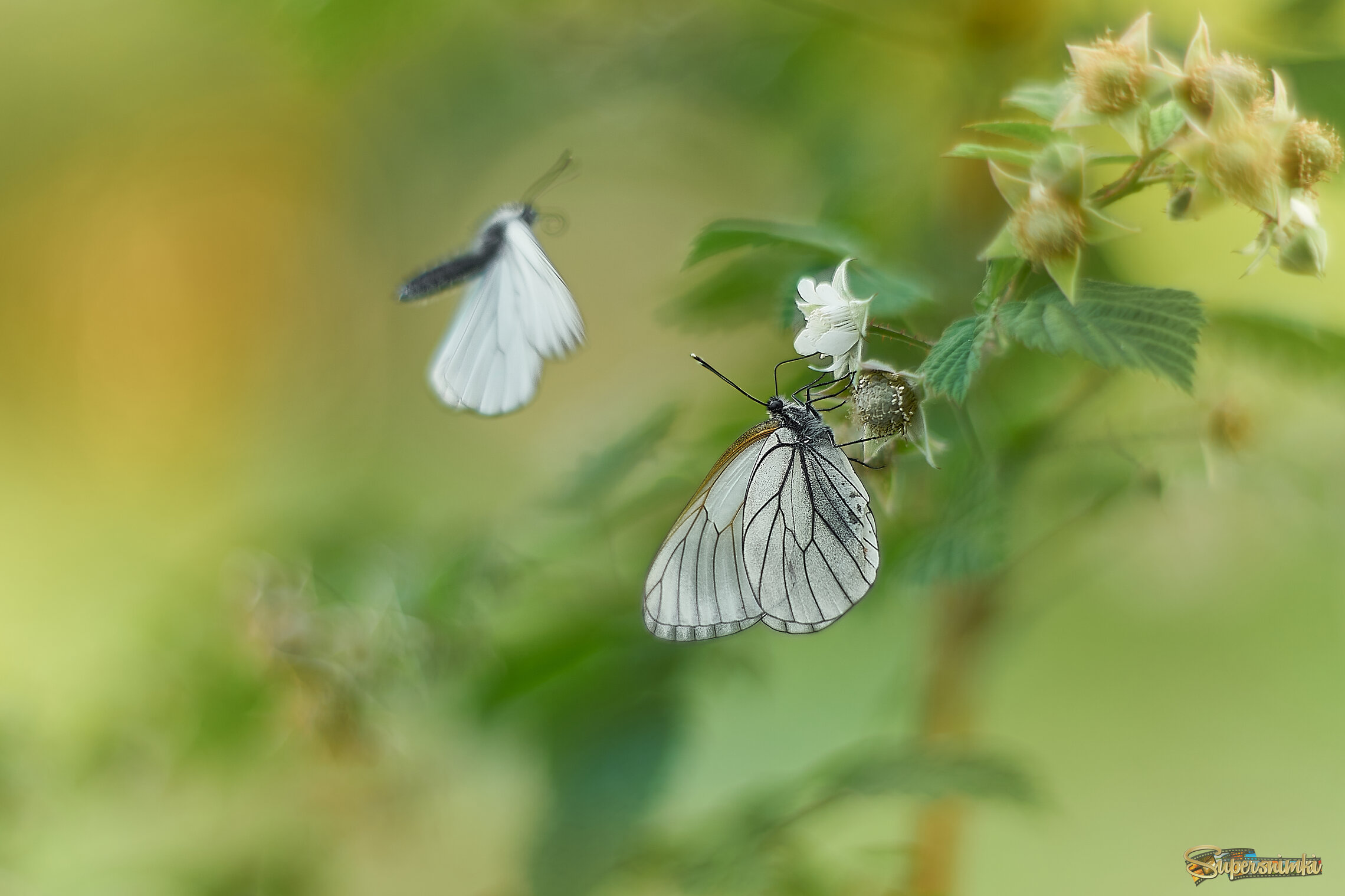 684e8a8dbe769676db6389af