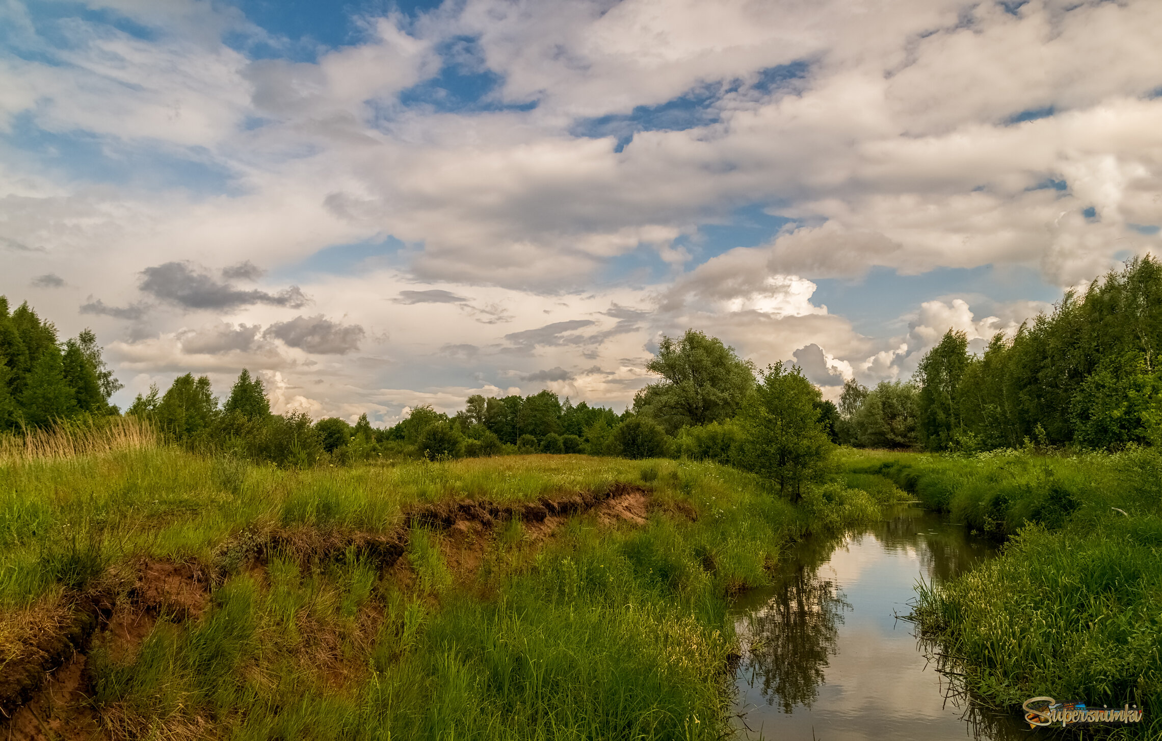 Родные берега 5 