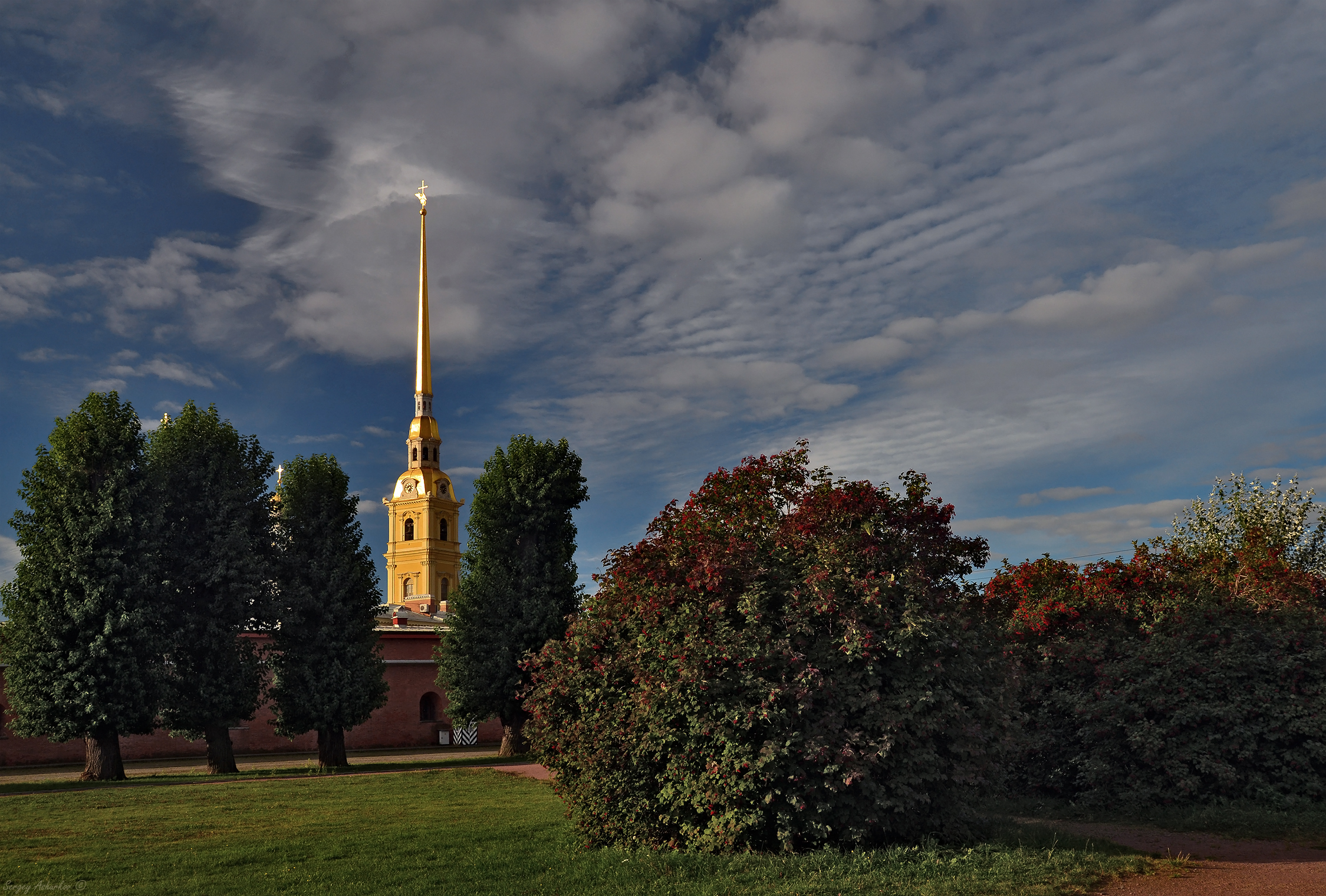 СПб.#37. Колокольня Петропавловского собора