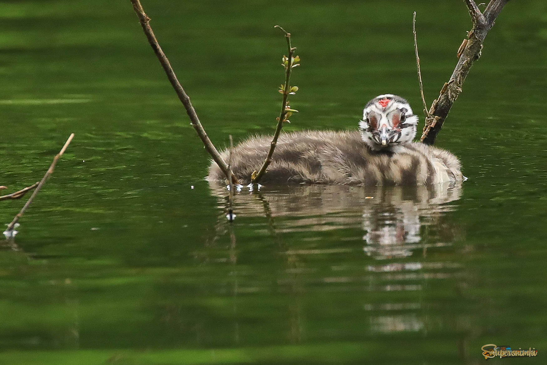 Припарковался