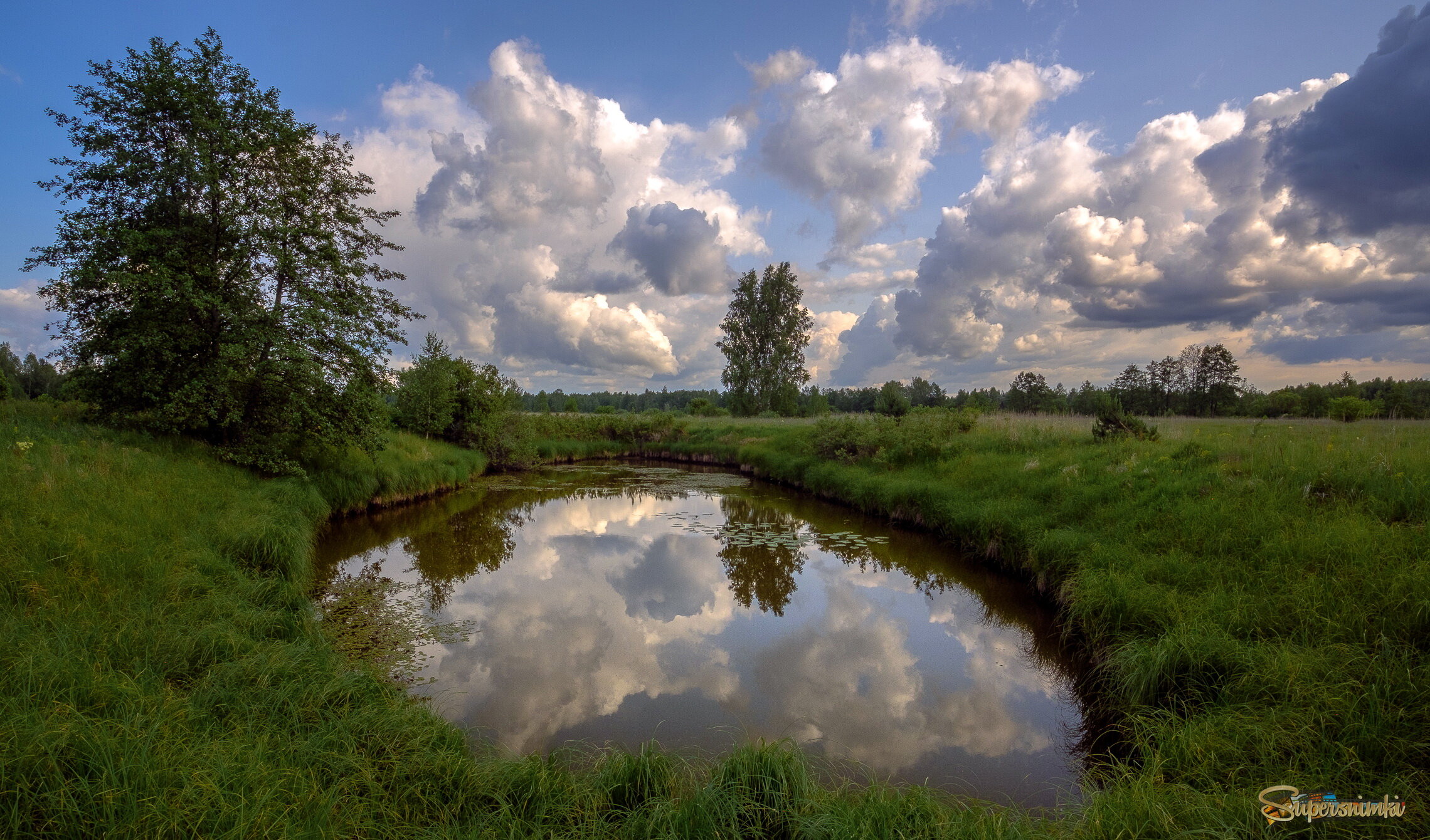 У лесного пруда