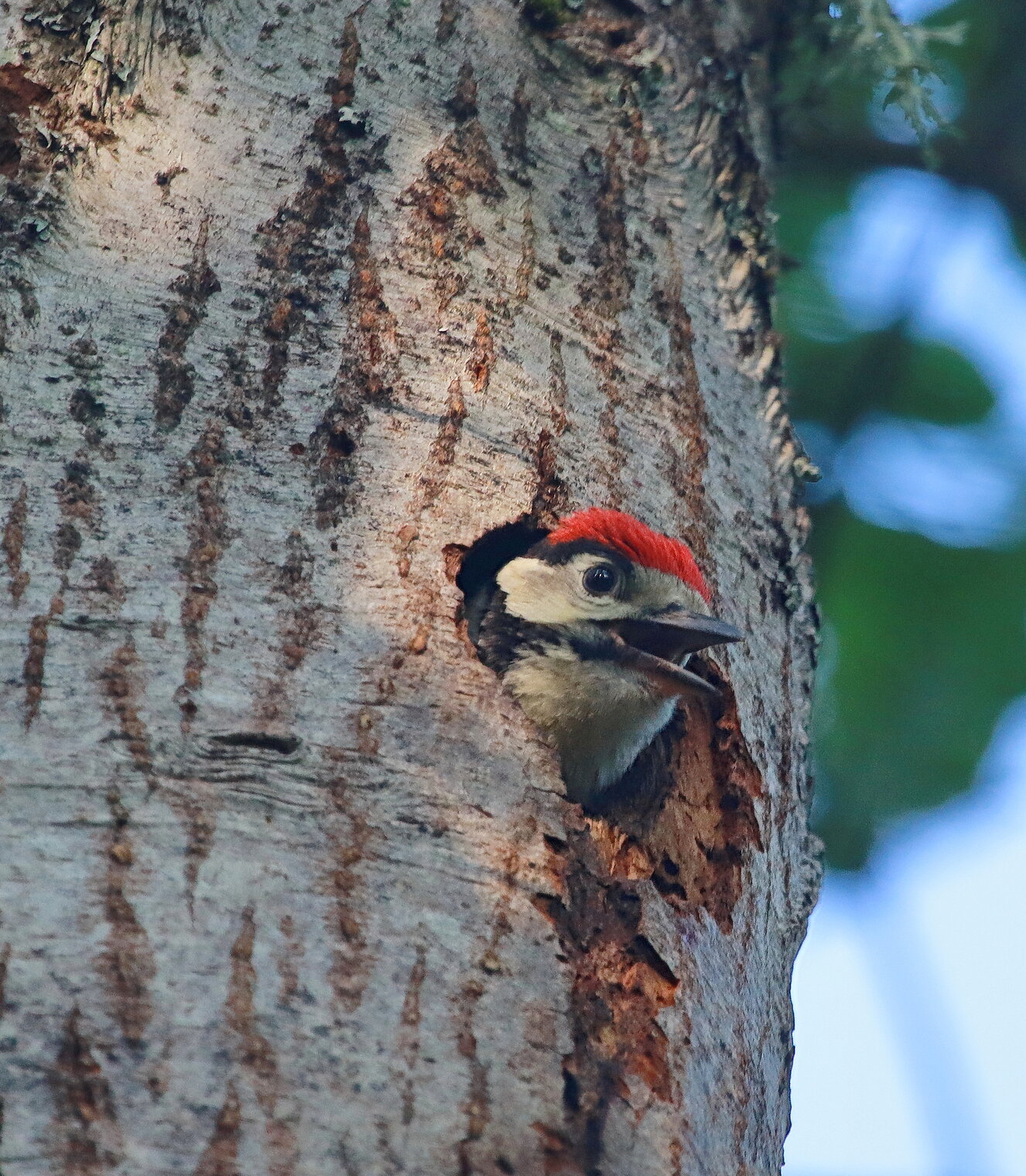 встречая утро