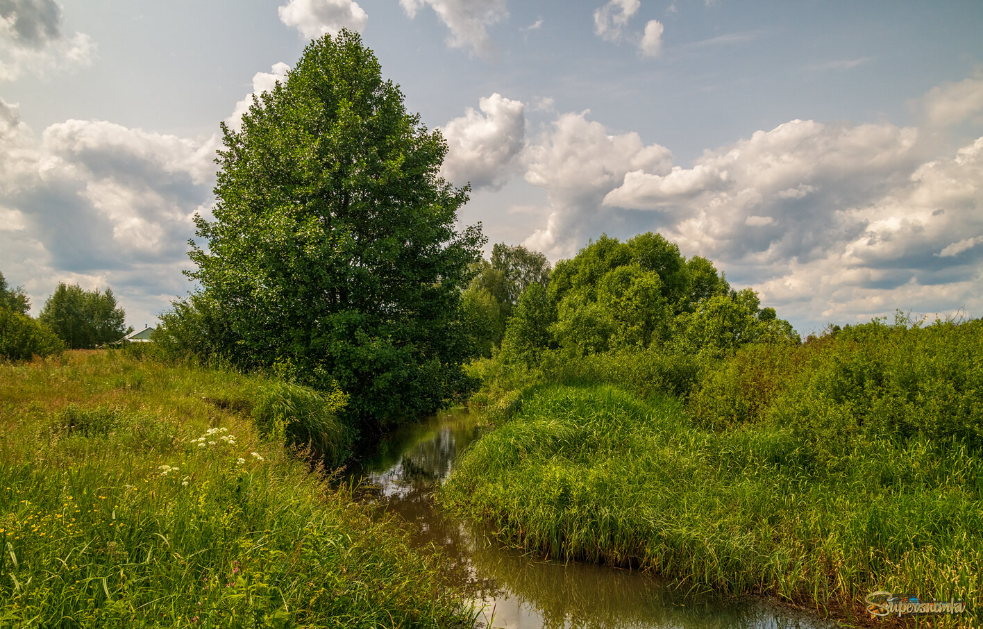 Родные берега 7 