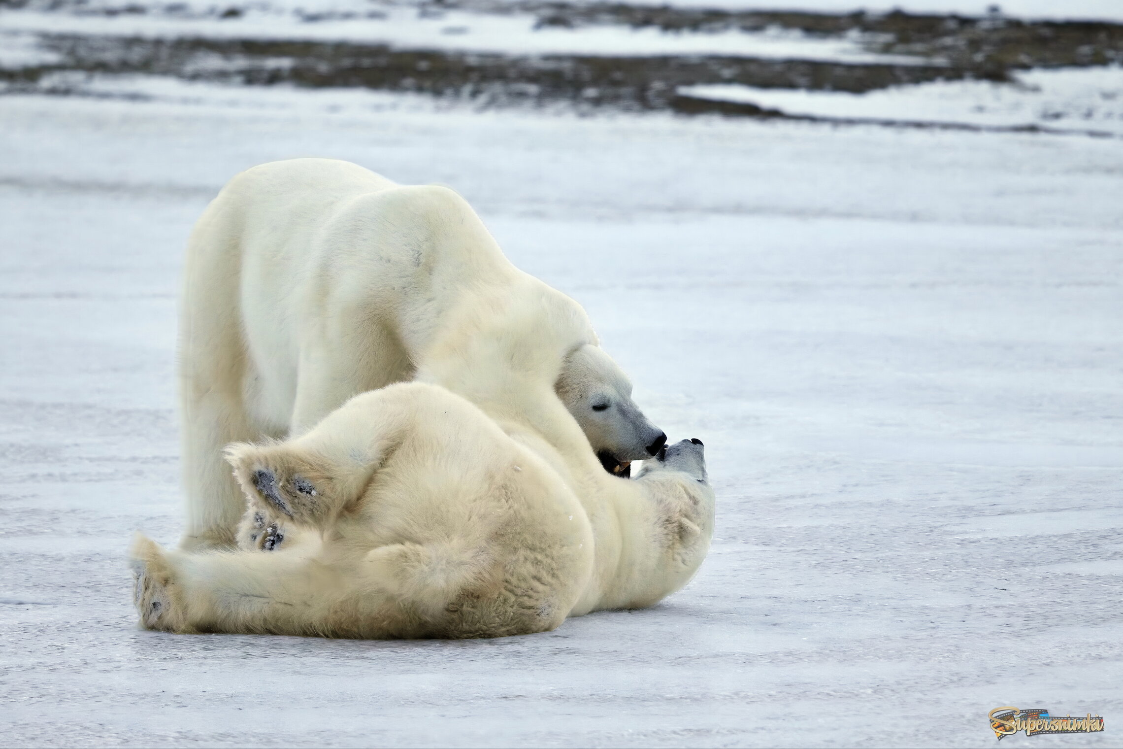 Вставай уже, на работу опоздаешь!