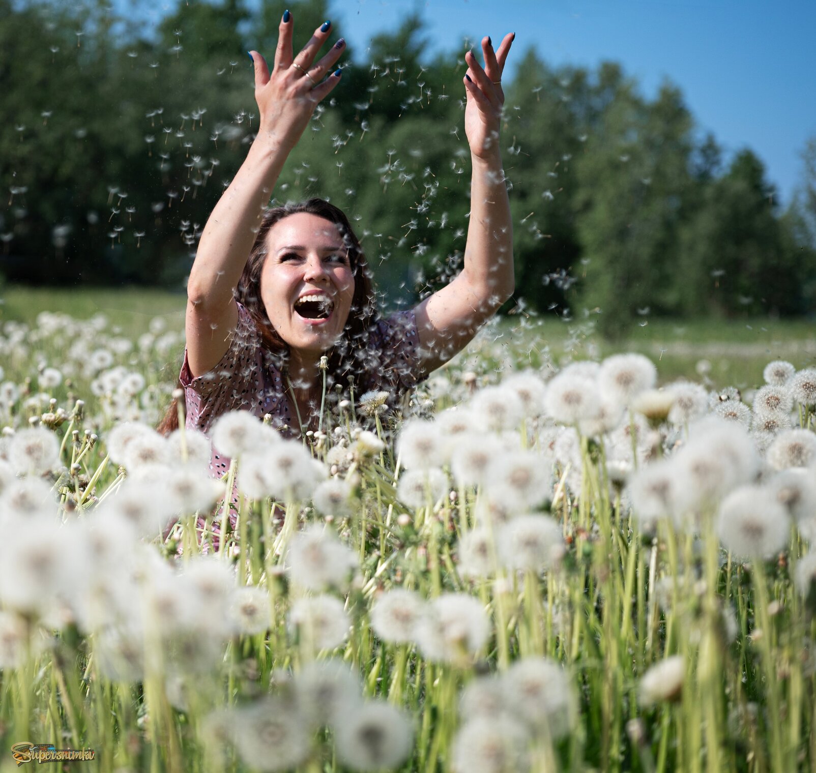 Одуванчики 