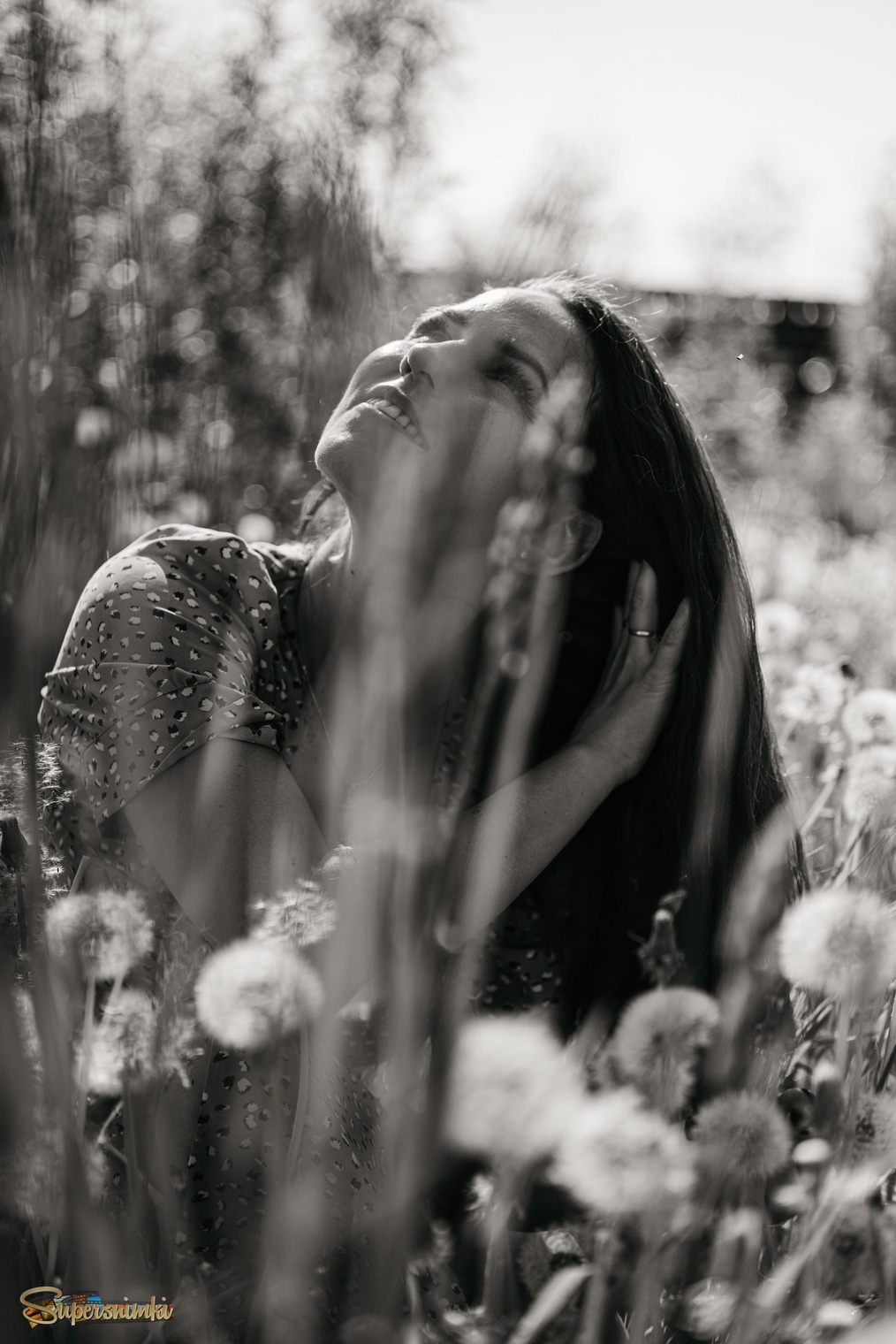 Одуванчики 