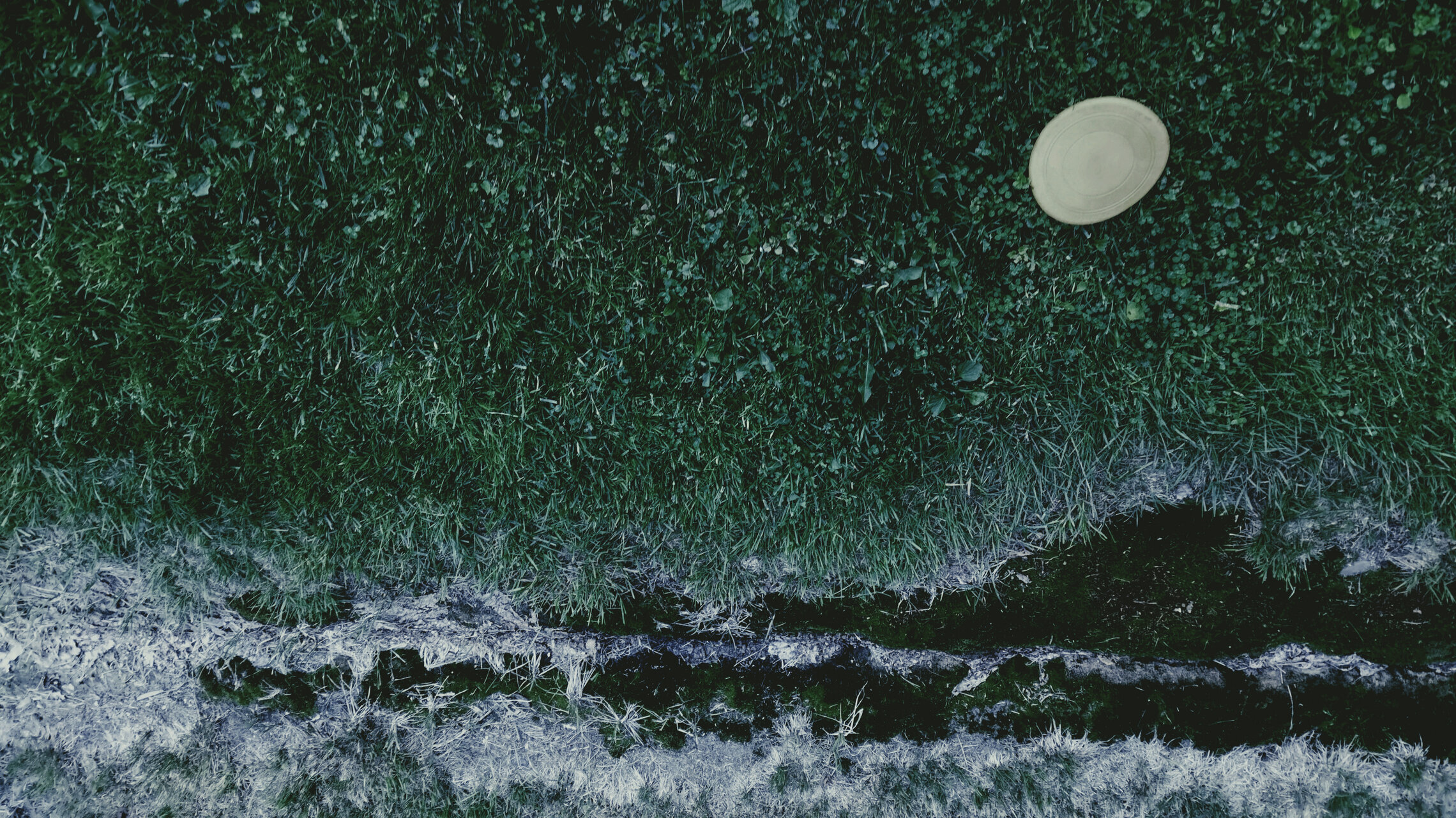 полнолуние