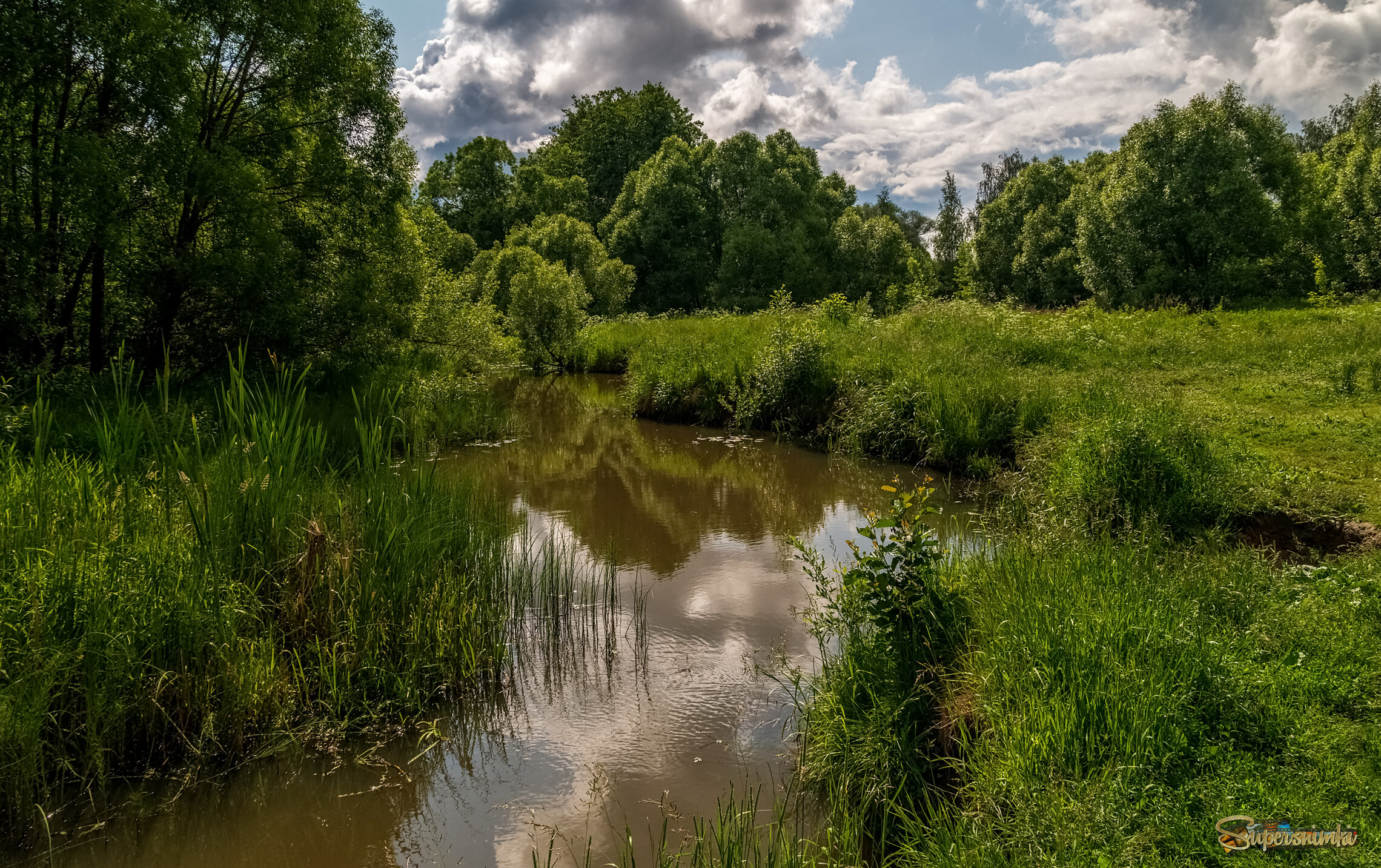 Родные берега 8 