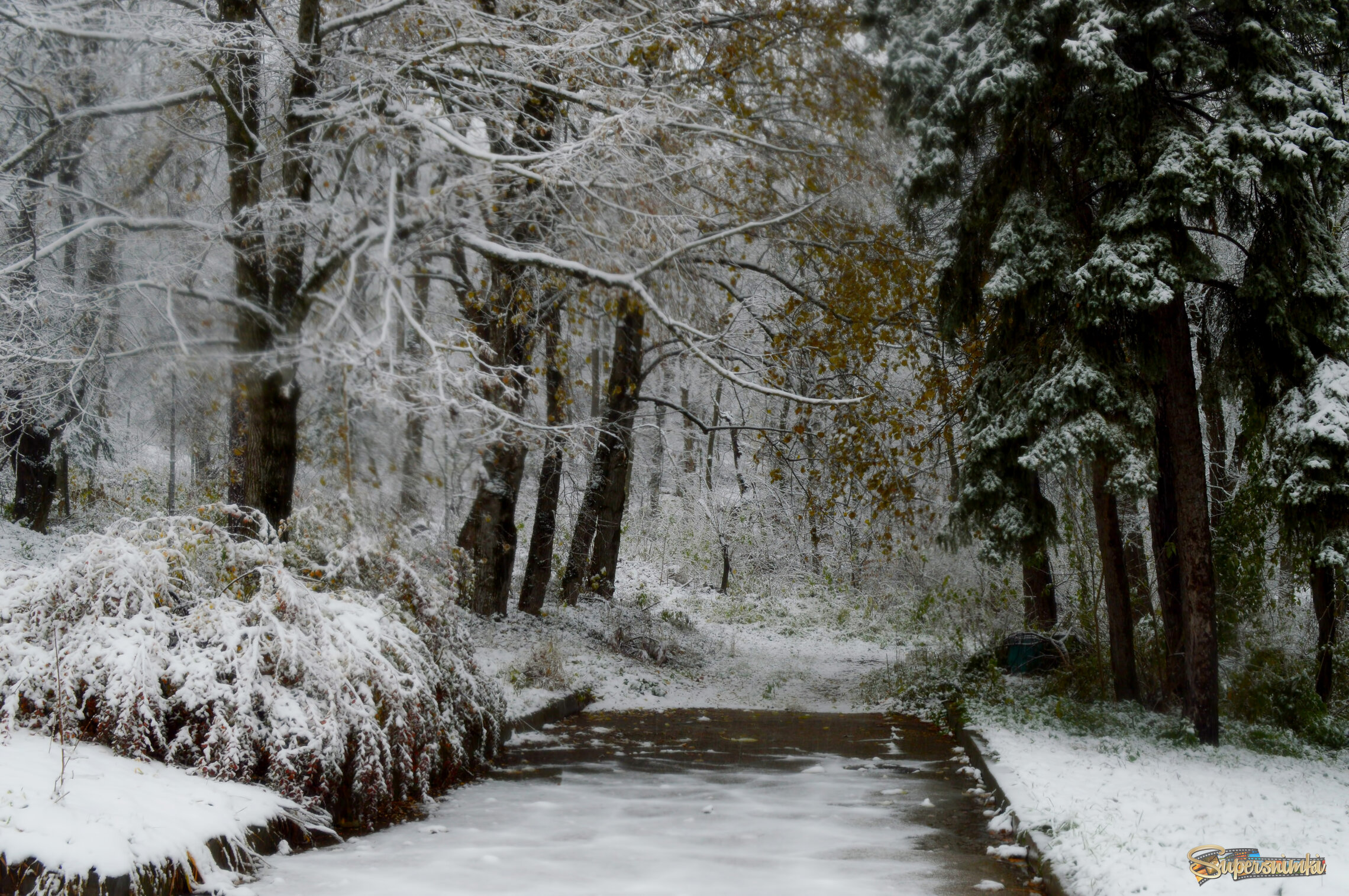 Припорошило.......