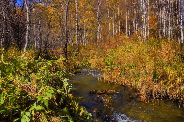 Байкальская осень