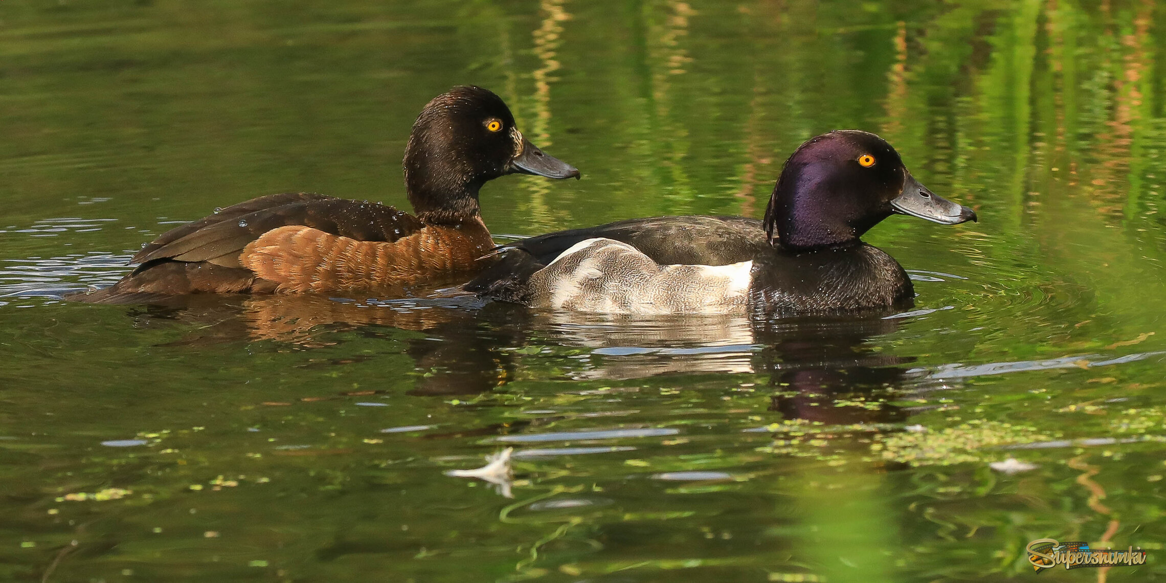 Молодая пара