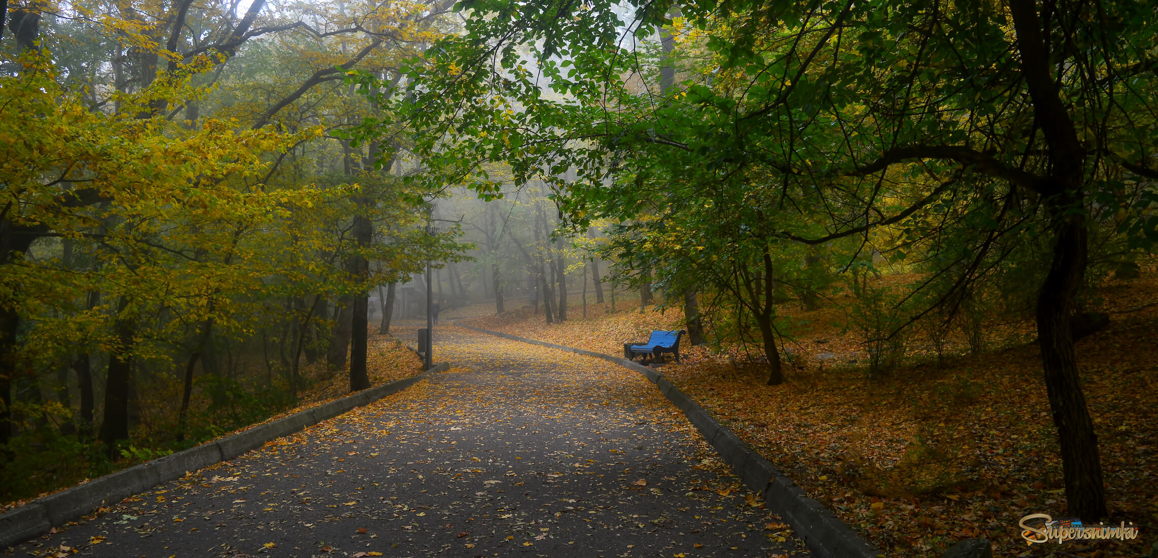 В старом парке........