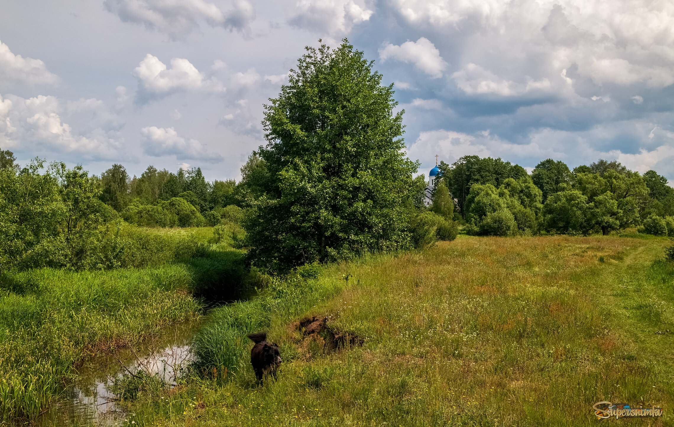 Родные берега 10 