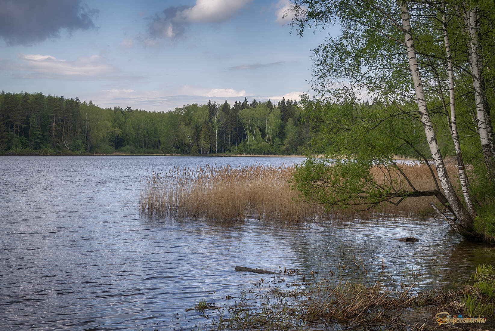 6854f817234b0461026389af