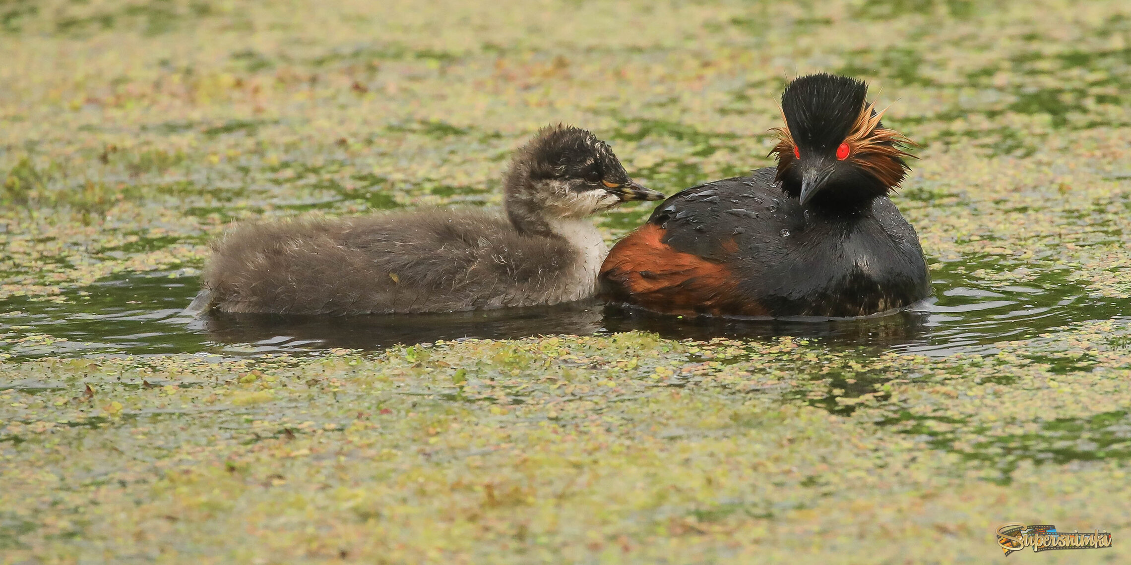 Малыш подрос! 
